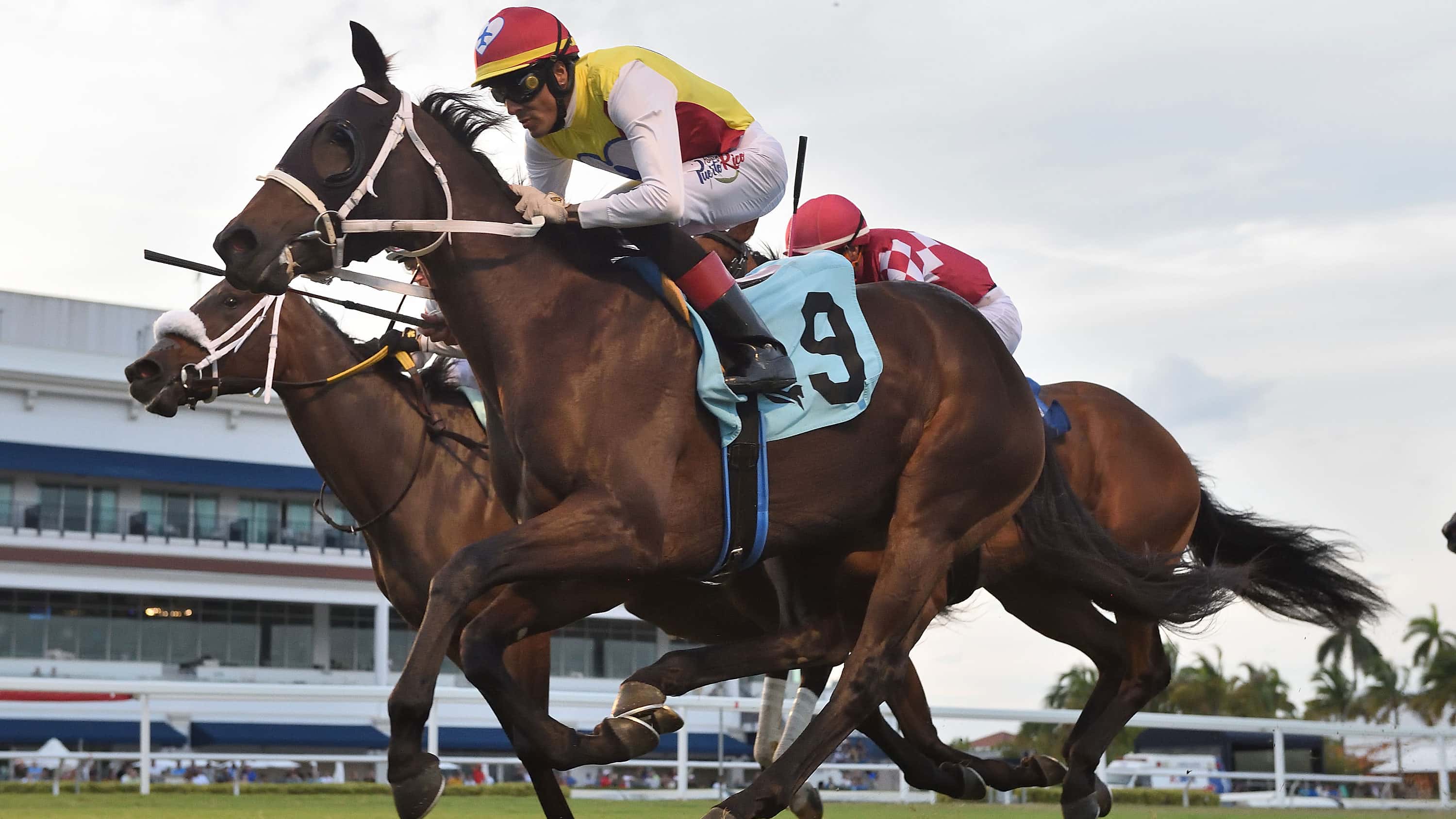 Special-Aviator-the-Our-Dear-Peggy3