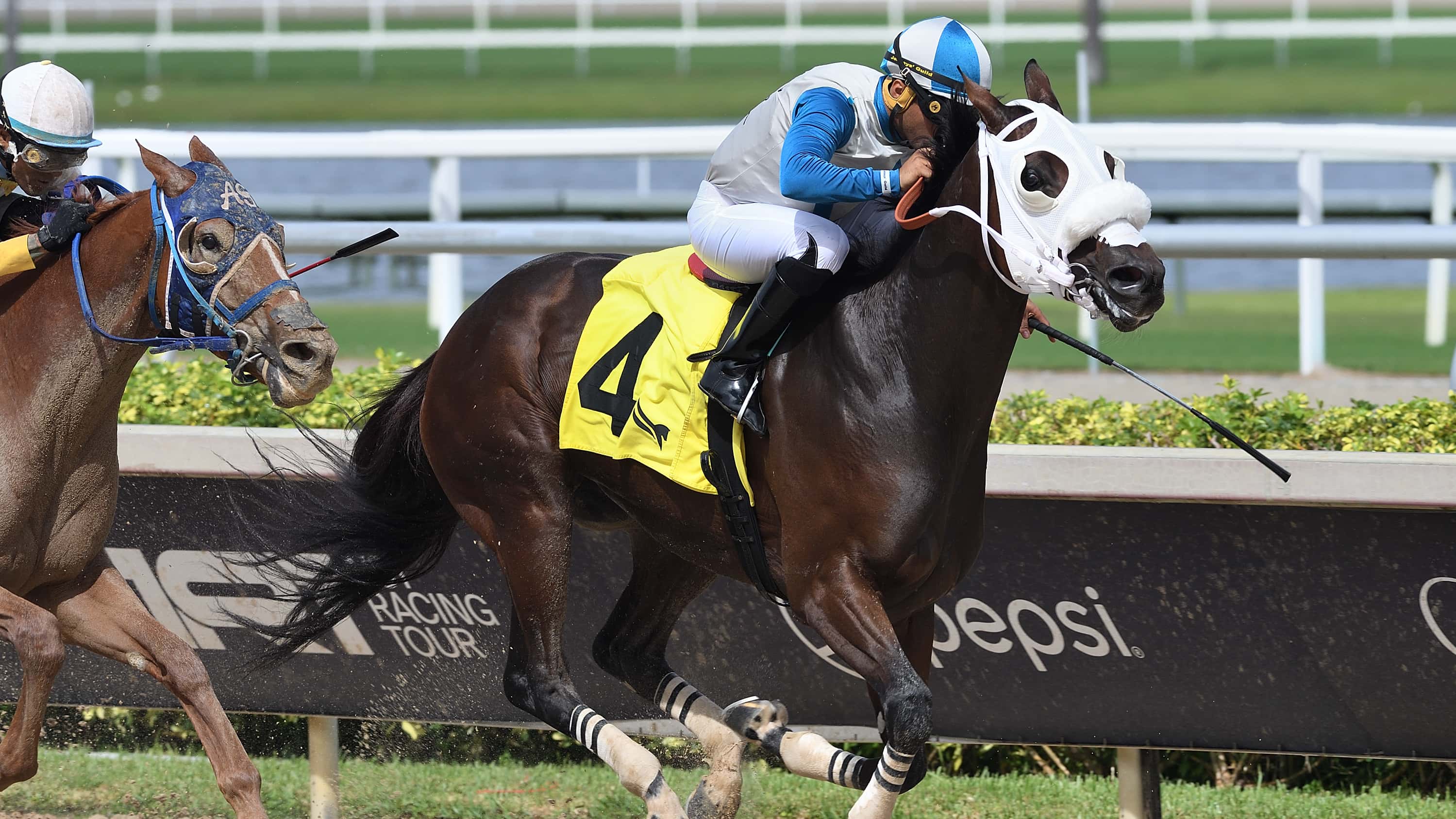 Steppe-the-Duke-of-Mischief