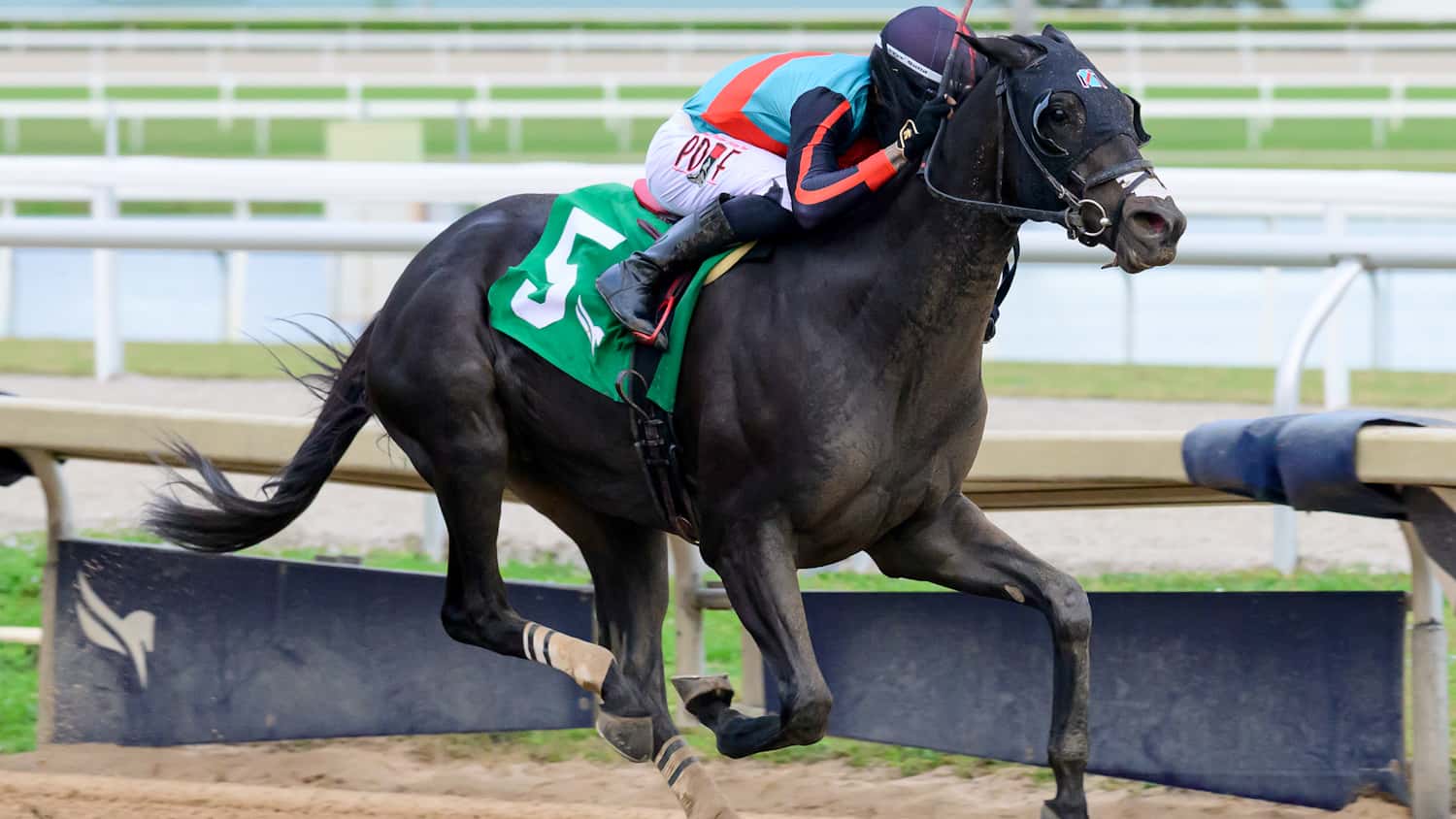 Lightning Tones Wins Sunshine Classic For Second Consecutive Year