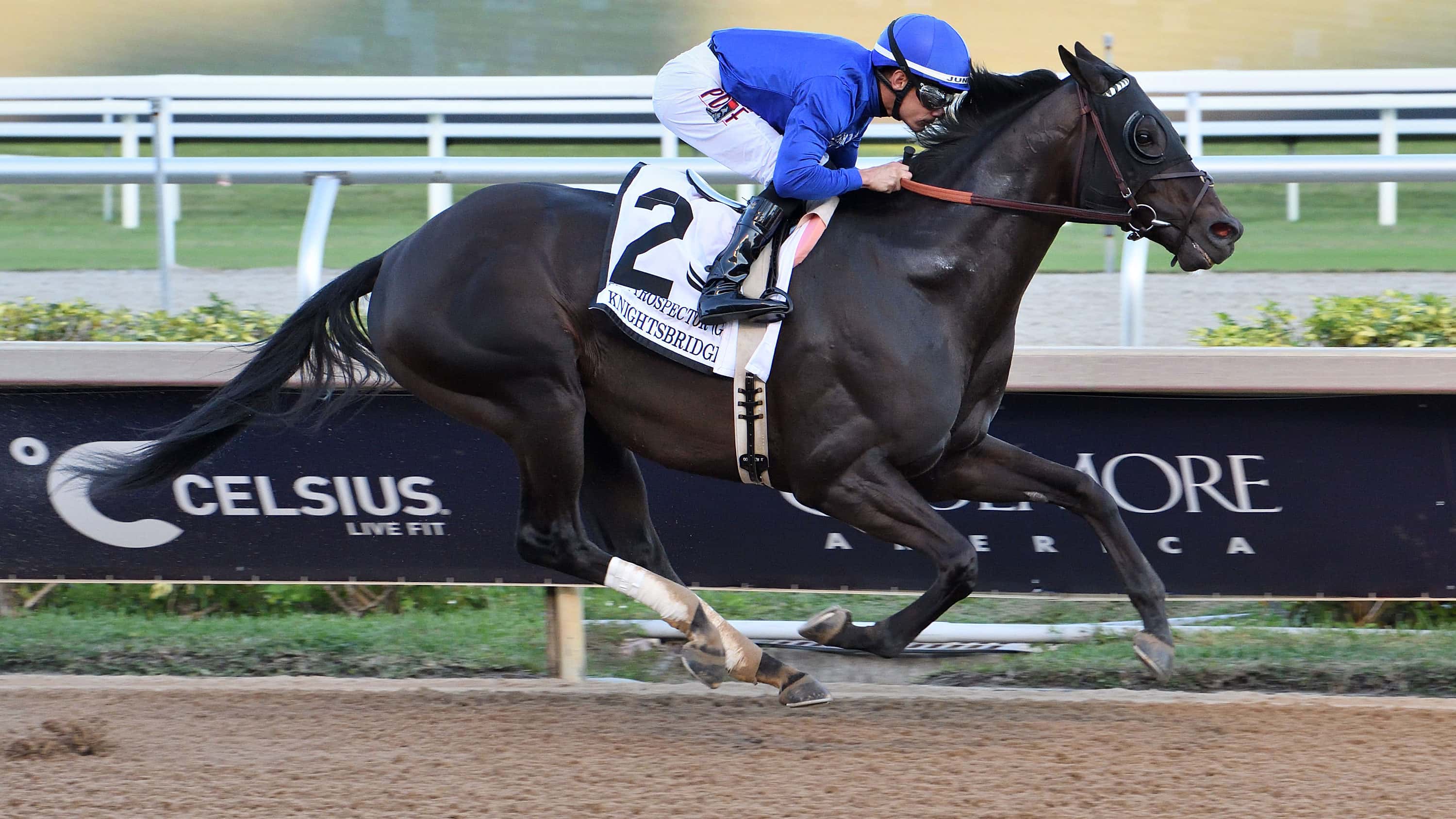 Grade 1 Winner Fionn Tops G3 Clement Nominations on Pegasus Program