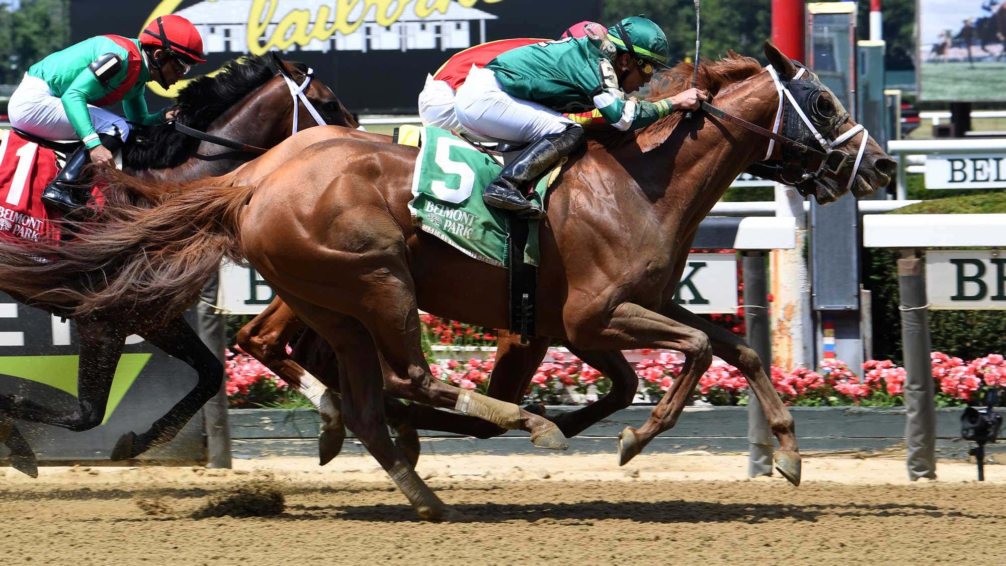 dynamic-one-the-suburban