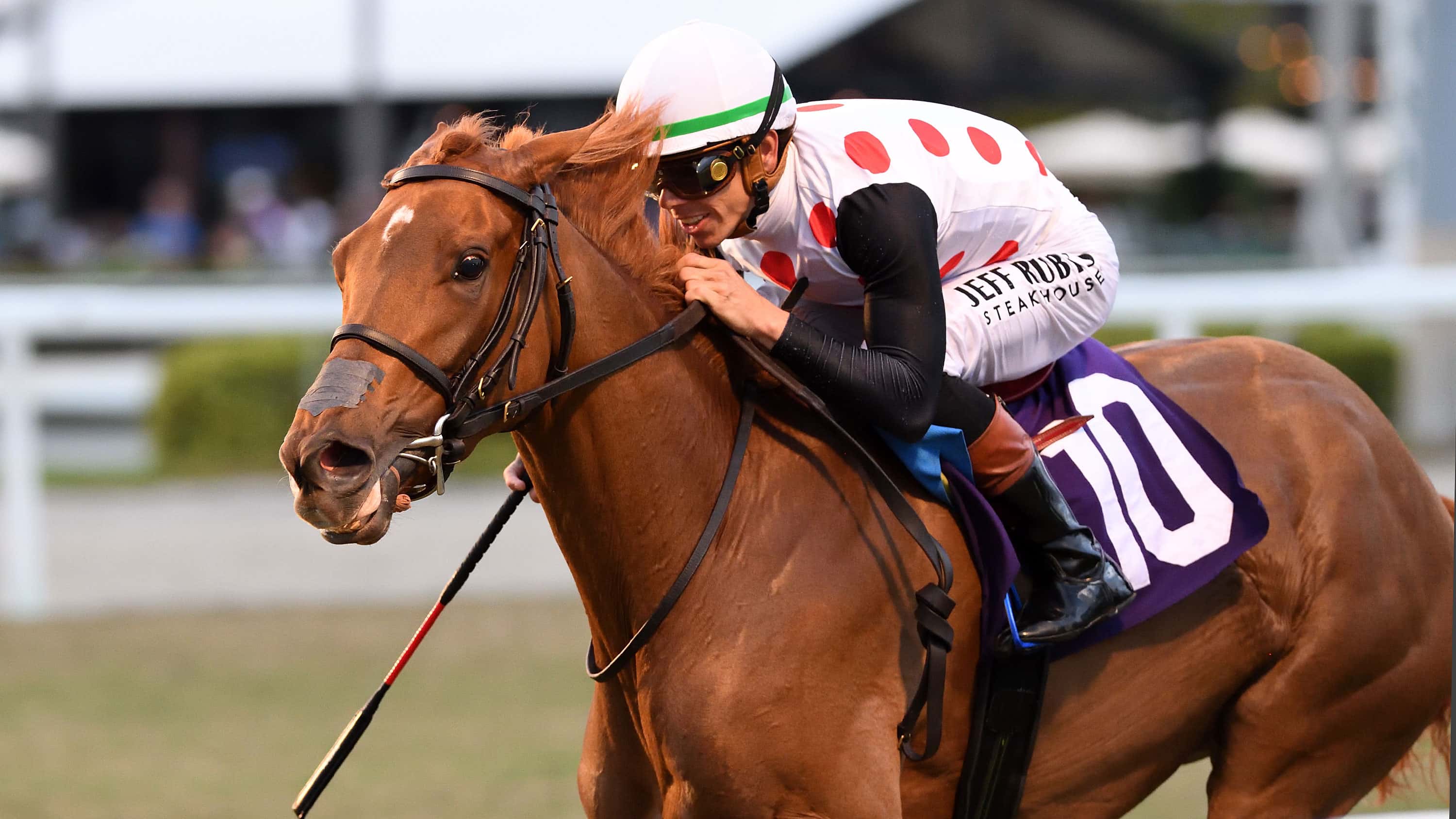 Souper Zonda Gets Job Done in Sunshine Filly & Mare Turf