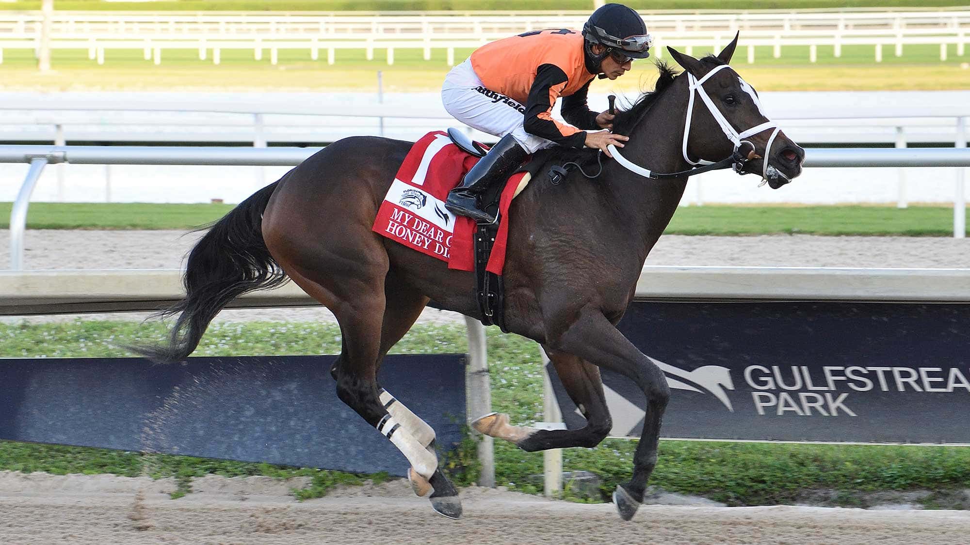 Honey-Dijon-the-FSS-My-Dear-Girl