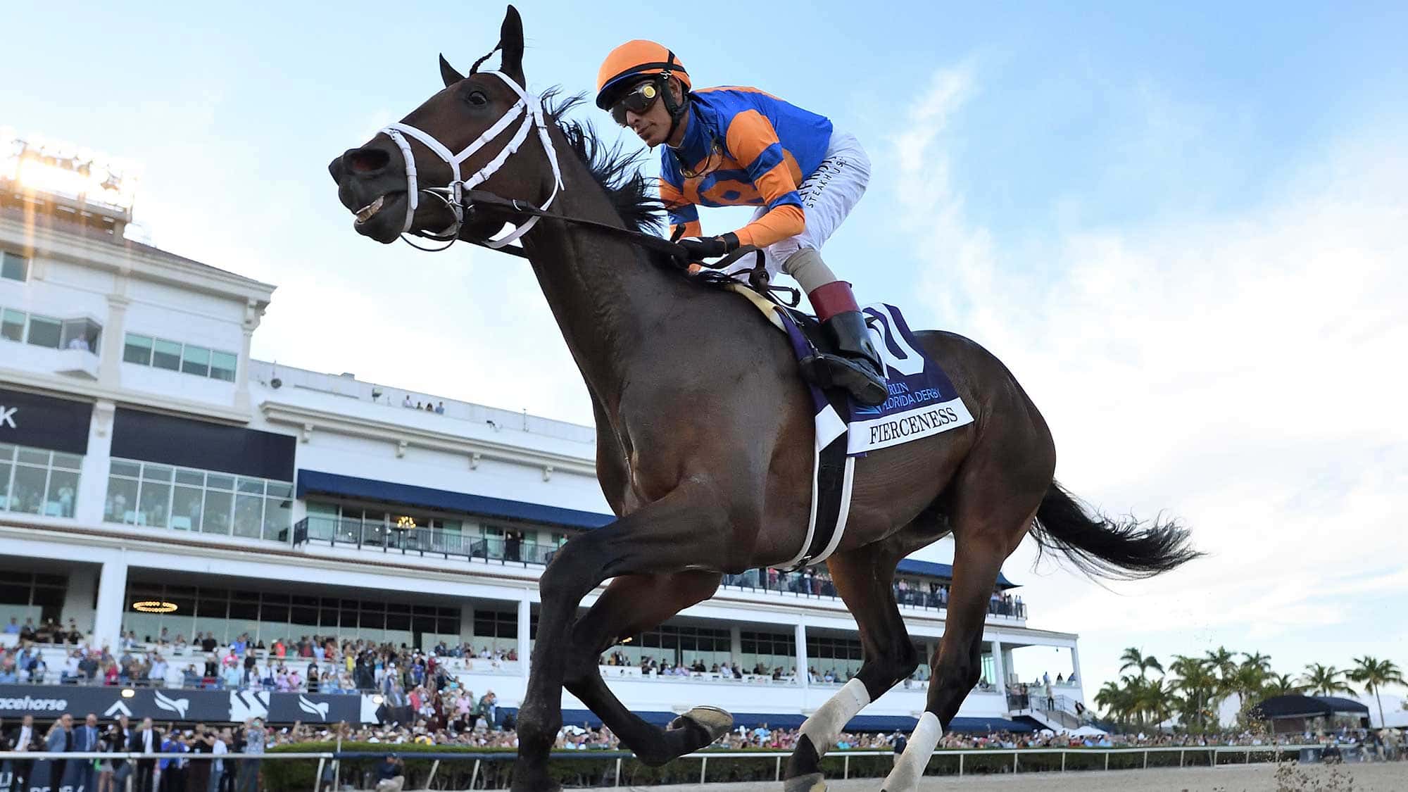 Fierceness Looking Good Following Curlin Florida Derby Romp