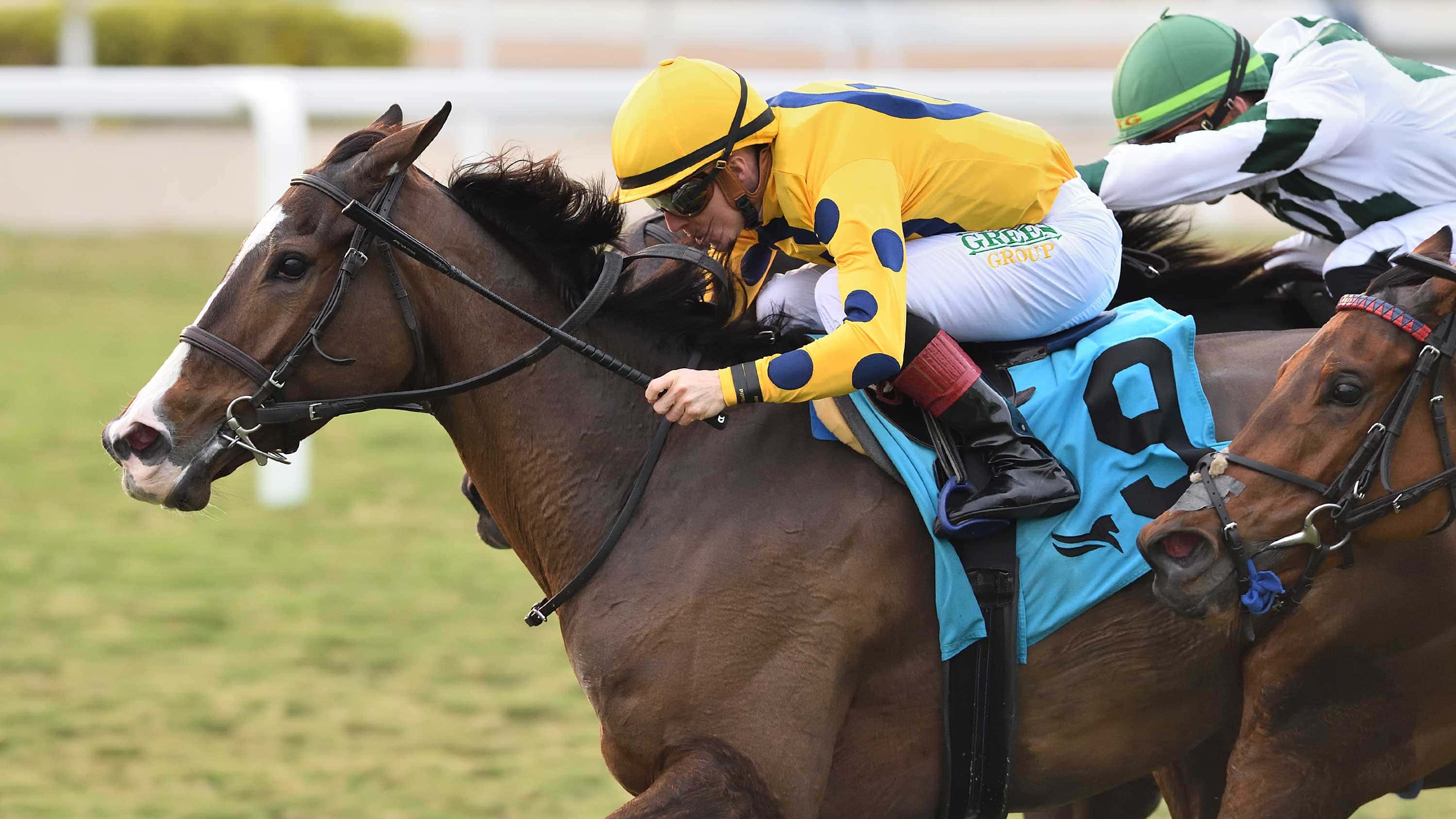 La-Mehana-the-Via-Borghese