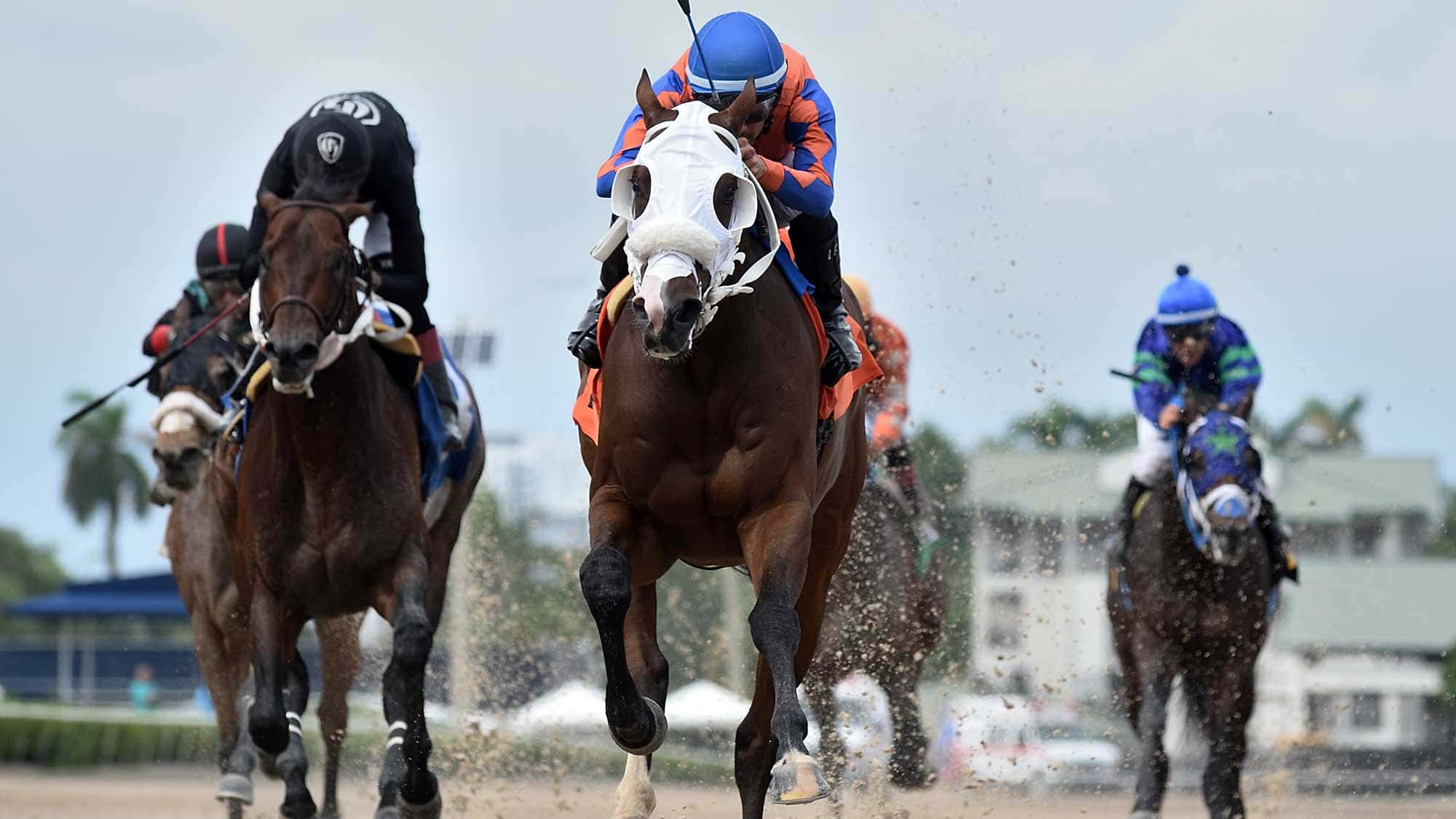 Big-and-Classy-the-Jackson-Bend