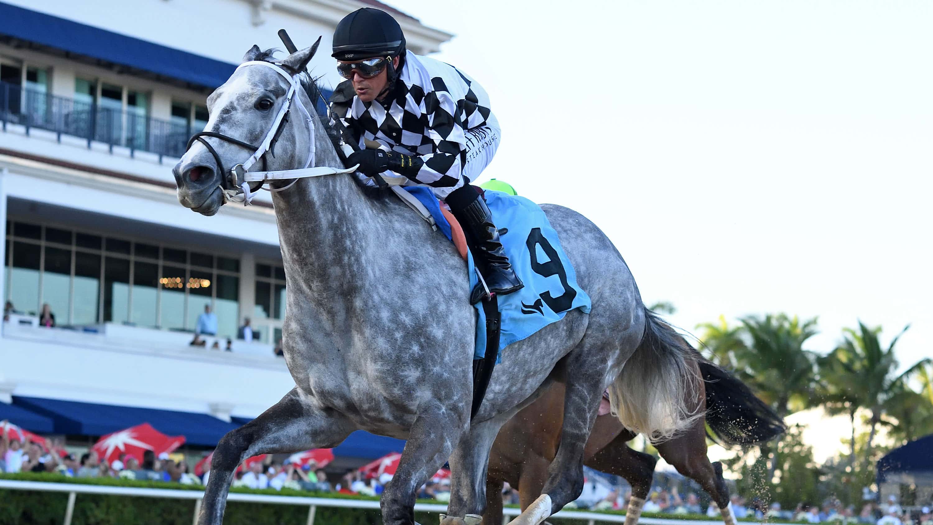 Sterling Silver Looks to Make the Grade in G3 Hurricane Bertie