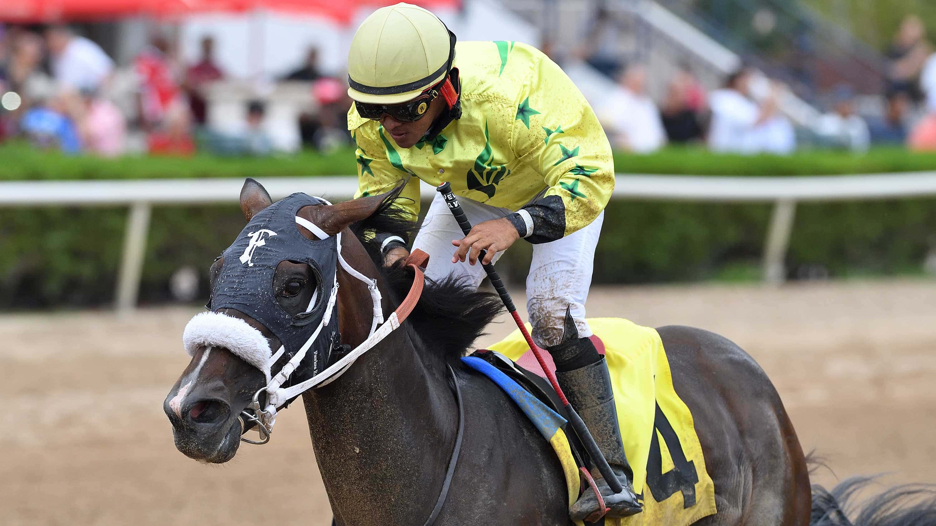 Shaq-Diesel-the-Big-Drama-