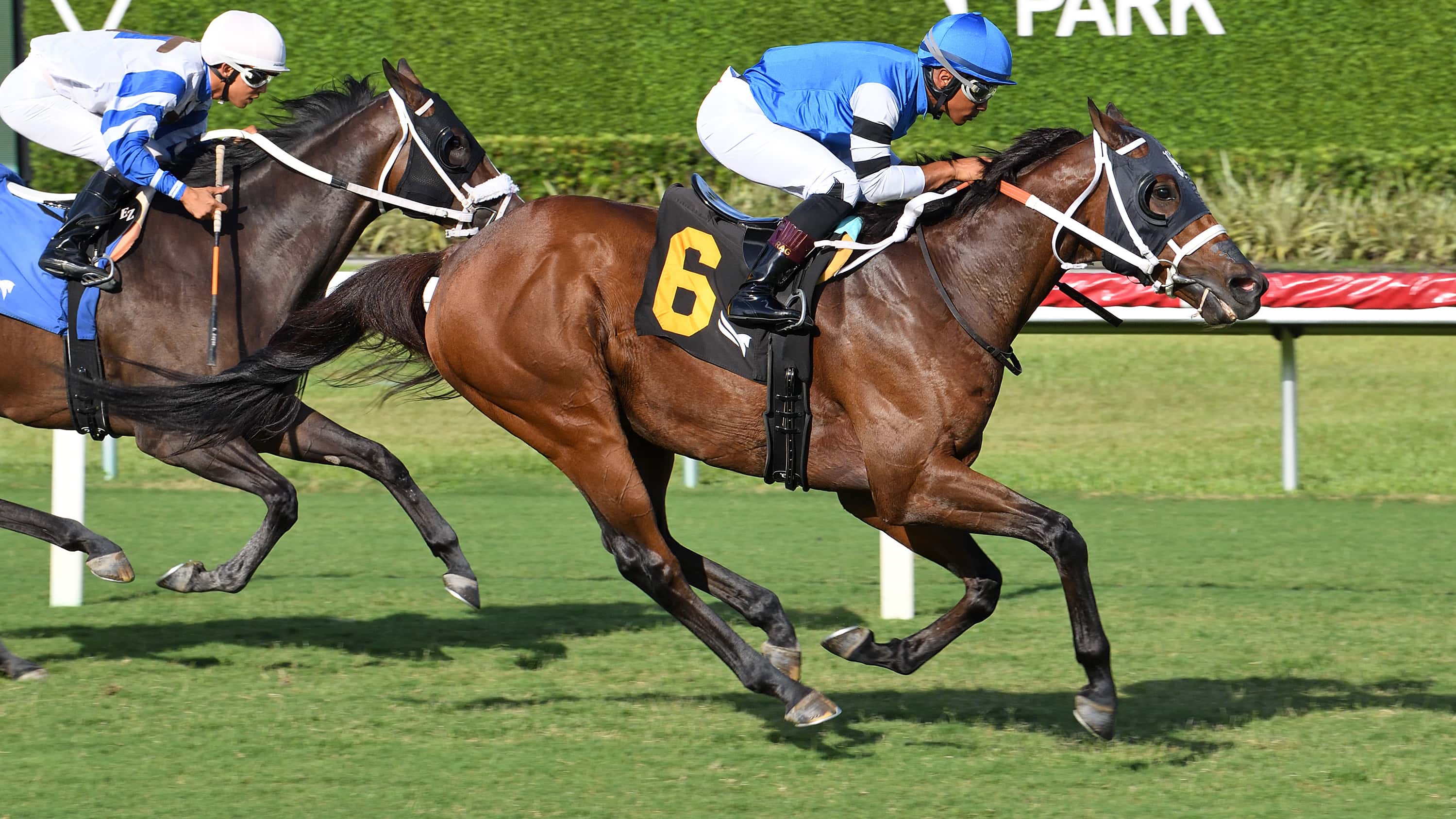 Reef Runner Returns a Winner in $70,000 Warrior’s Pride