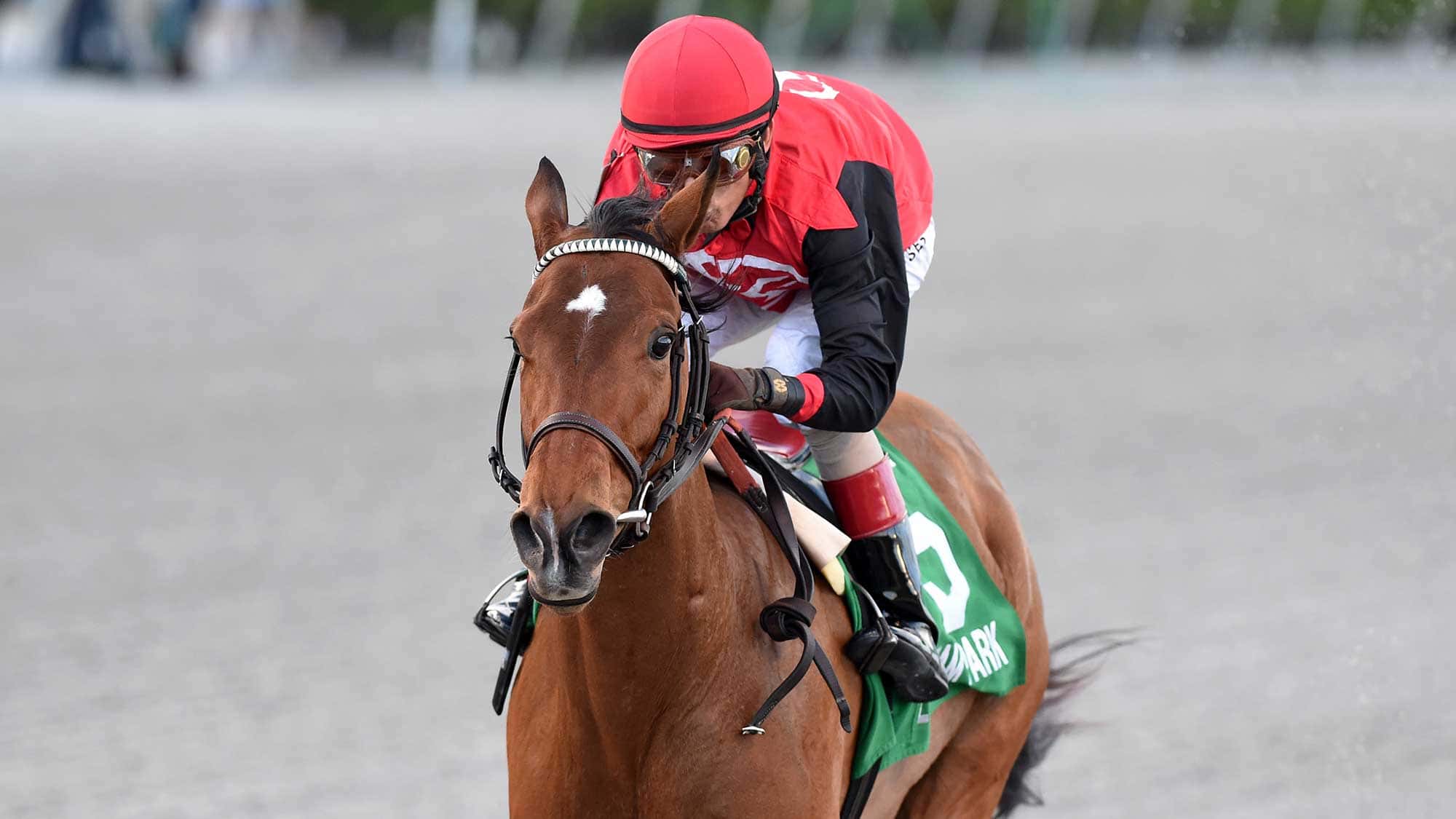 Franks-Rockette-the-Any-Limit0