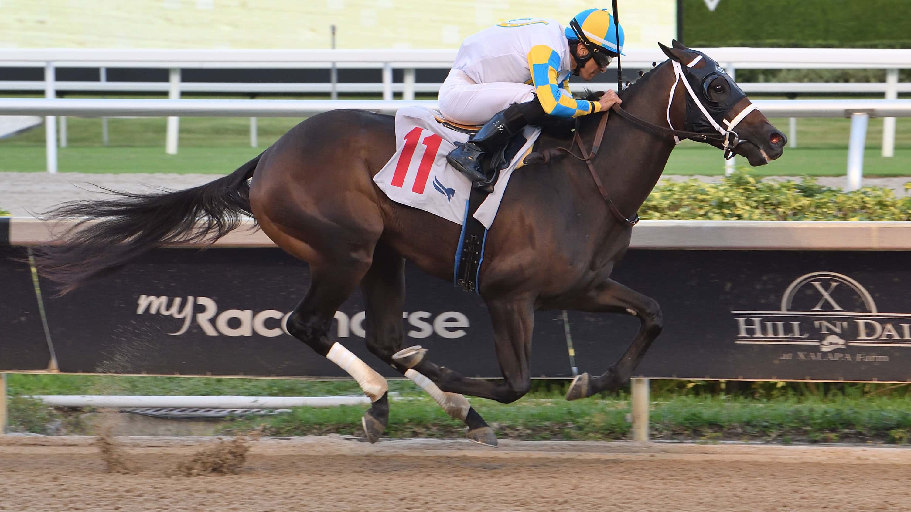 Khozalite-the-FSS-Affirmed