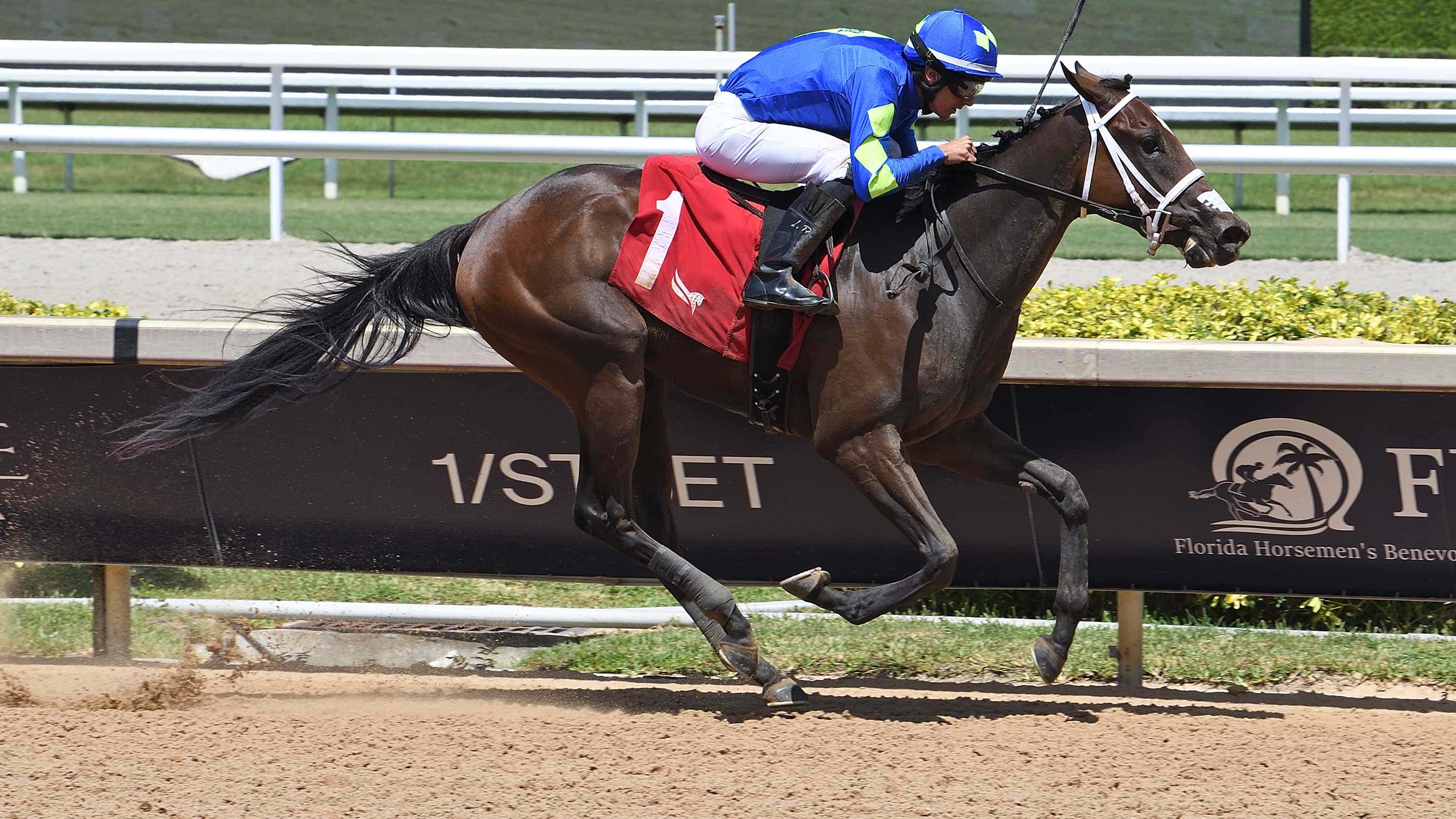 Unbeaten Hot Rod Honey Stays Home for Scandalous Act