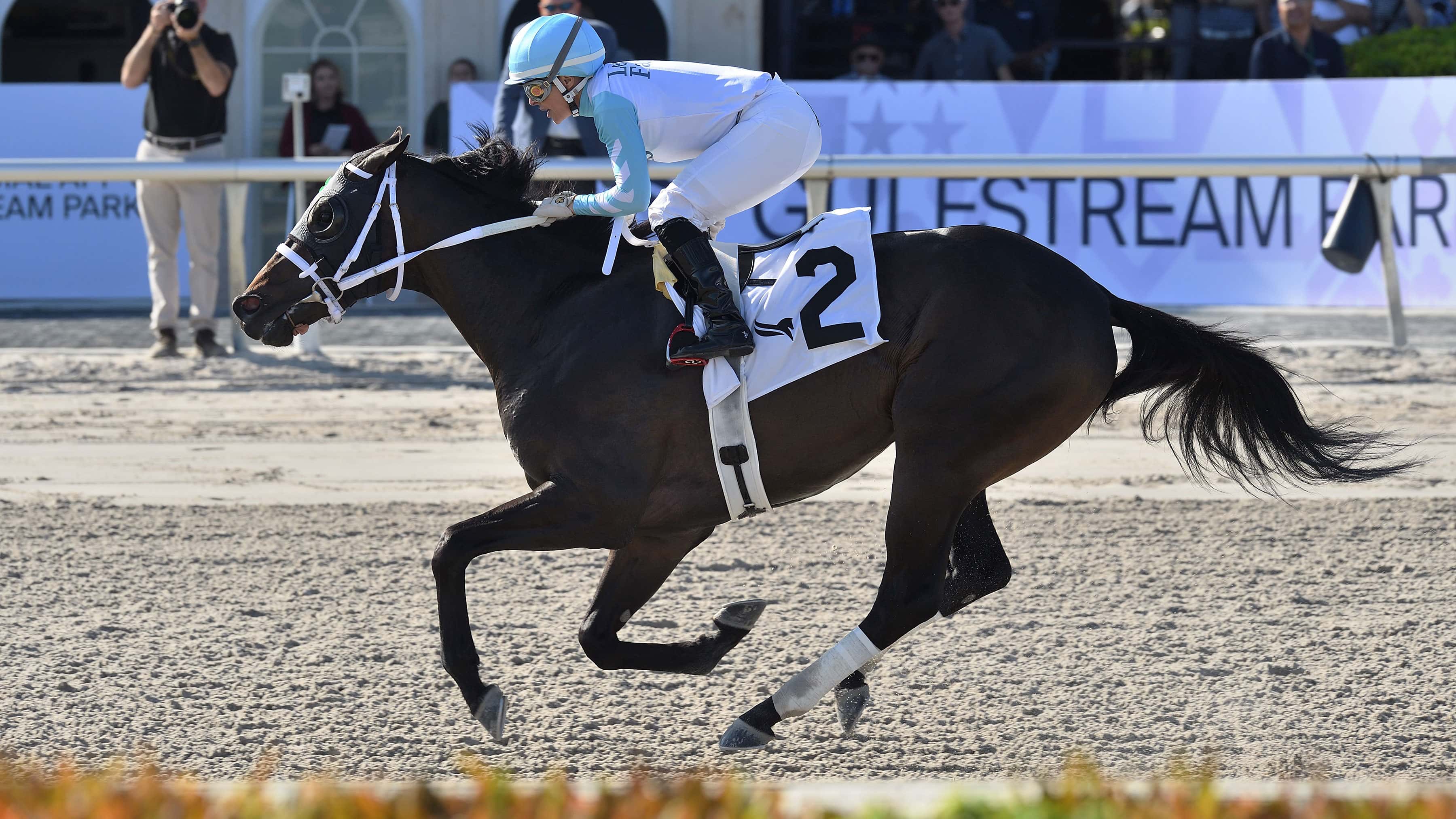 Super Chow, Jorge Ruiz Reunite for Saturday’s Mr. Prospector