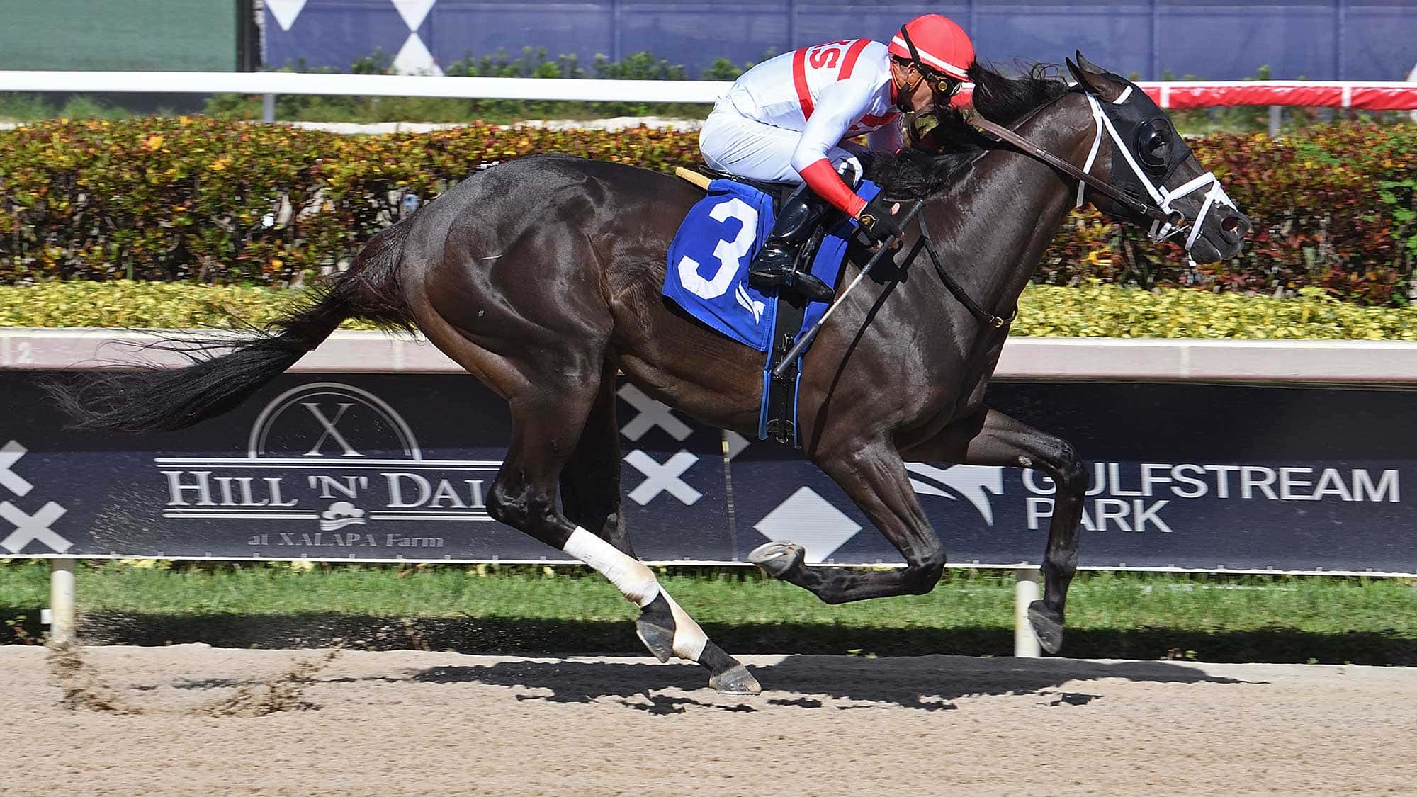 Bentornato-The-Proud-Man