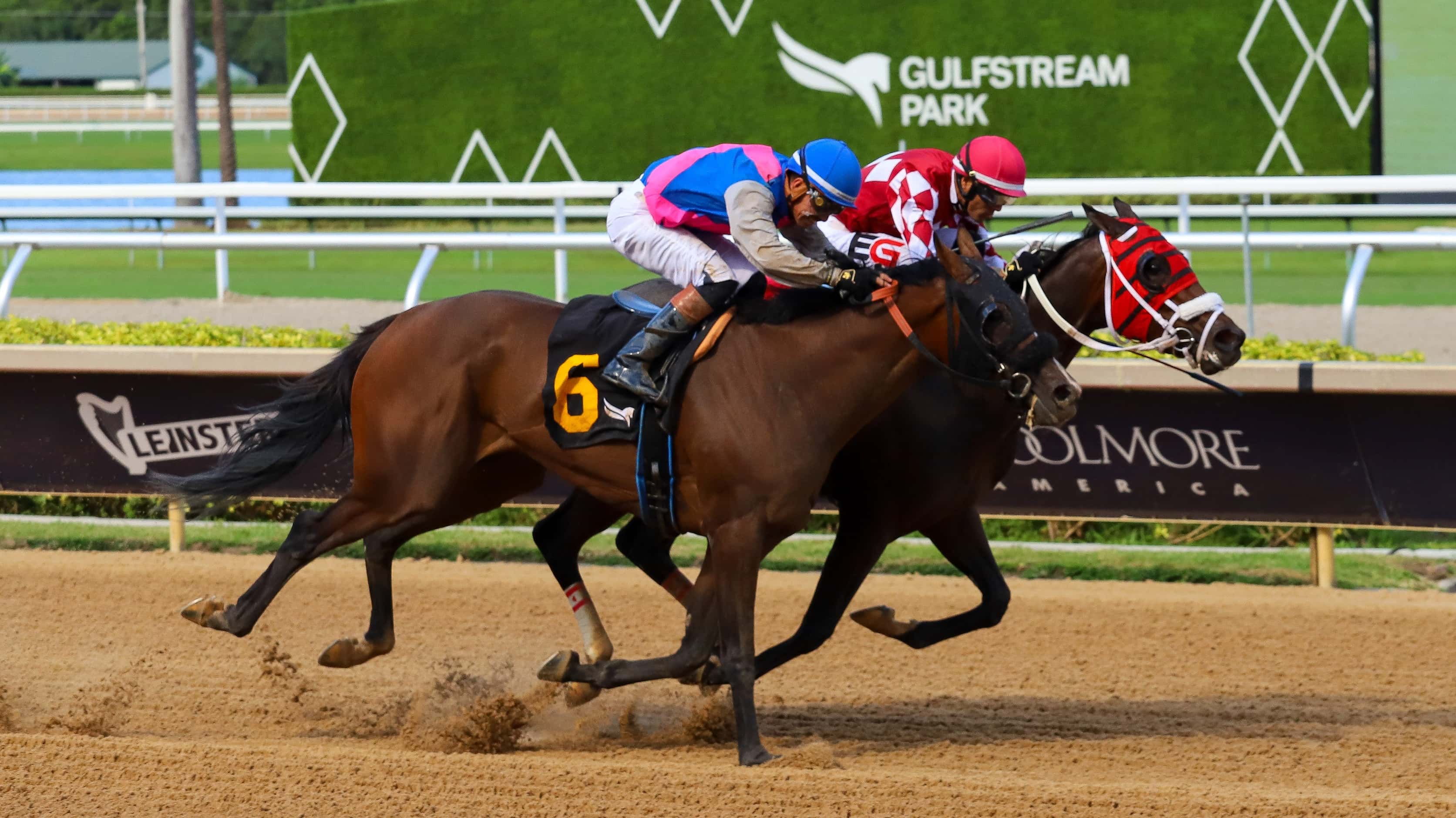 Azalea-Stakes