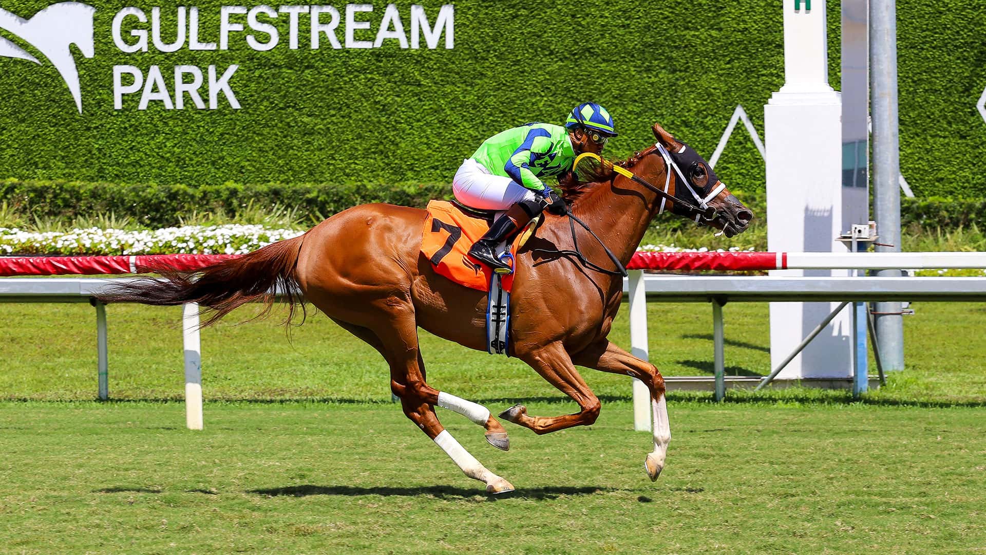City Minute fue superior a sus rivales en la quinta del jueves en Gulfstream Park