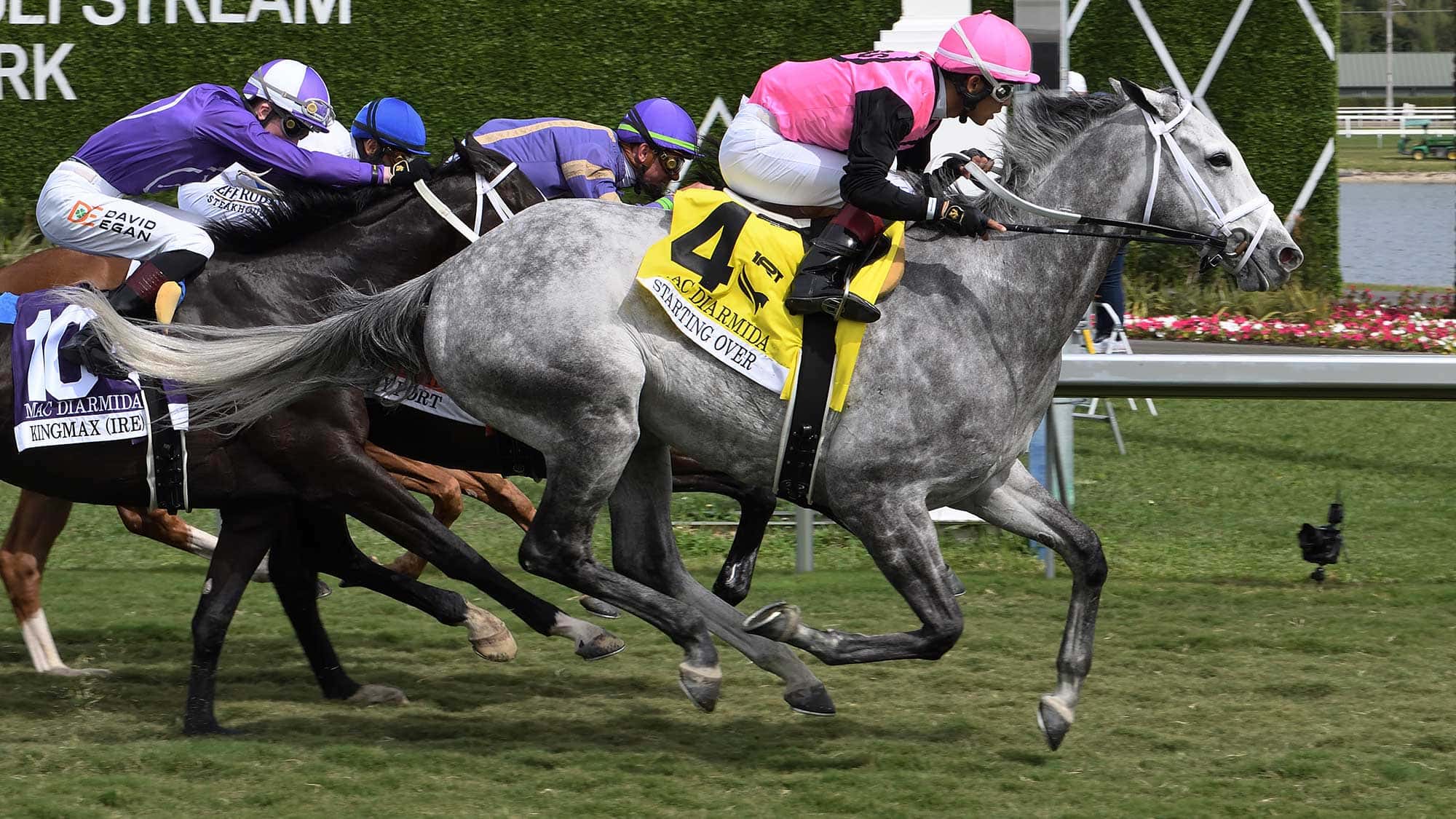 Starting-Over-the-Mac-Diarmida-