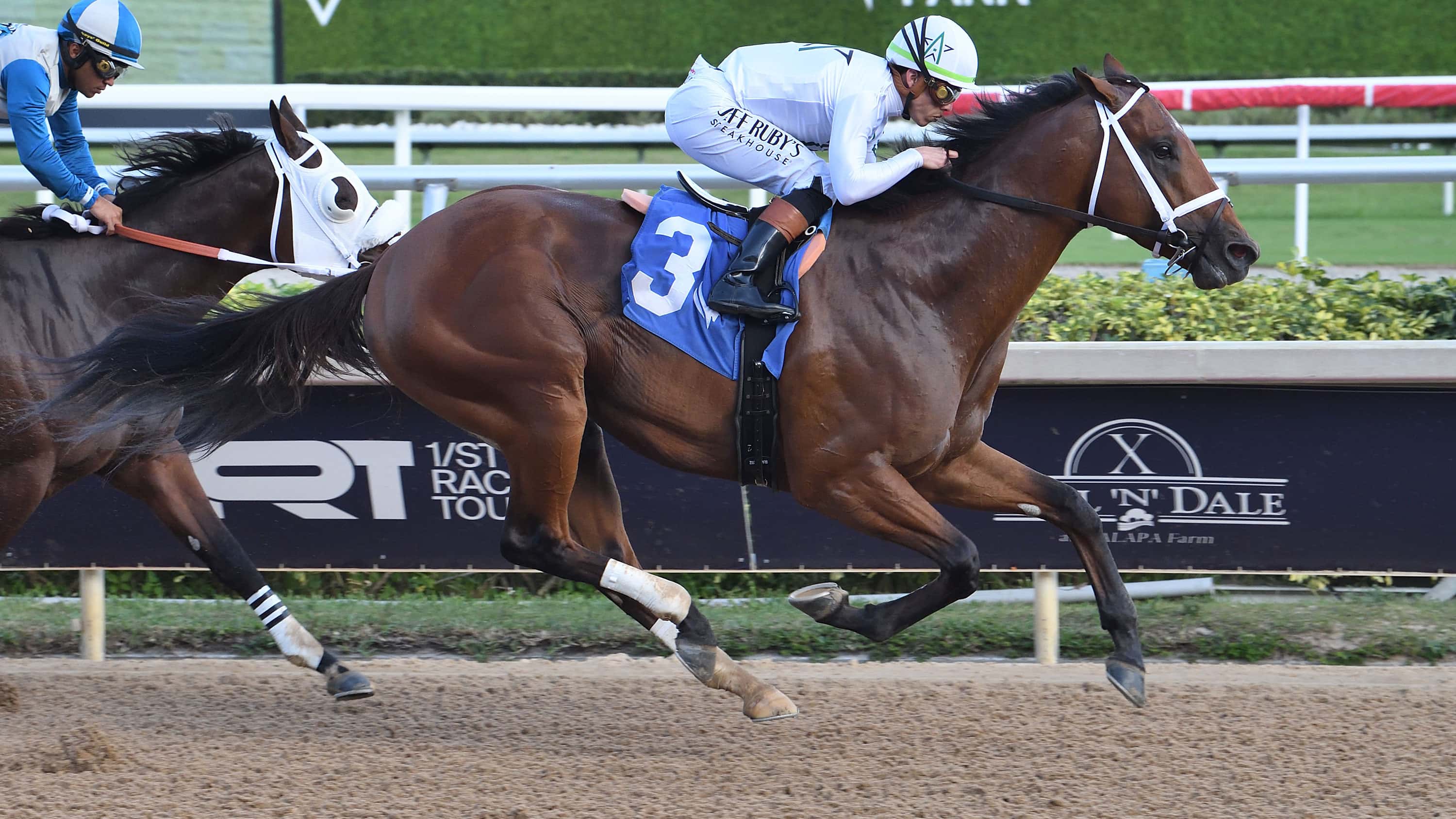 G1 Florida Derby Hero Tappan Street ‘Workmanlike’ in Return