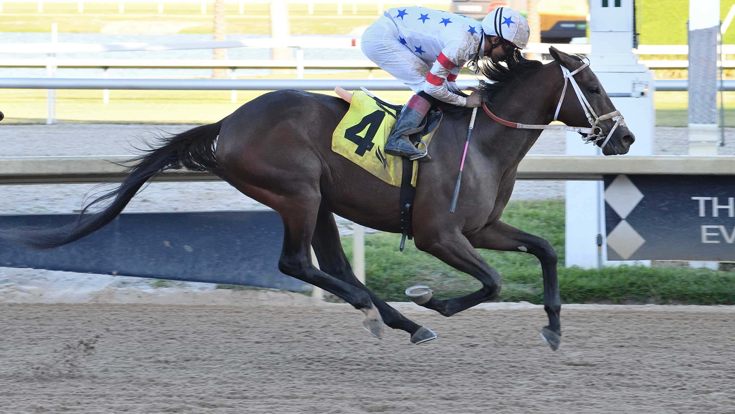 G2 Winner Steal Sunshine Back on Turf for Mambo Meister