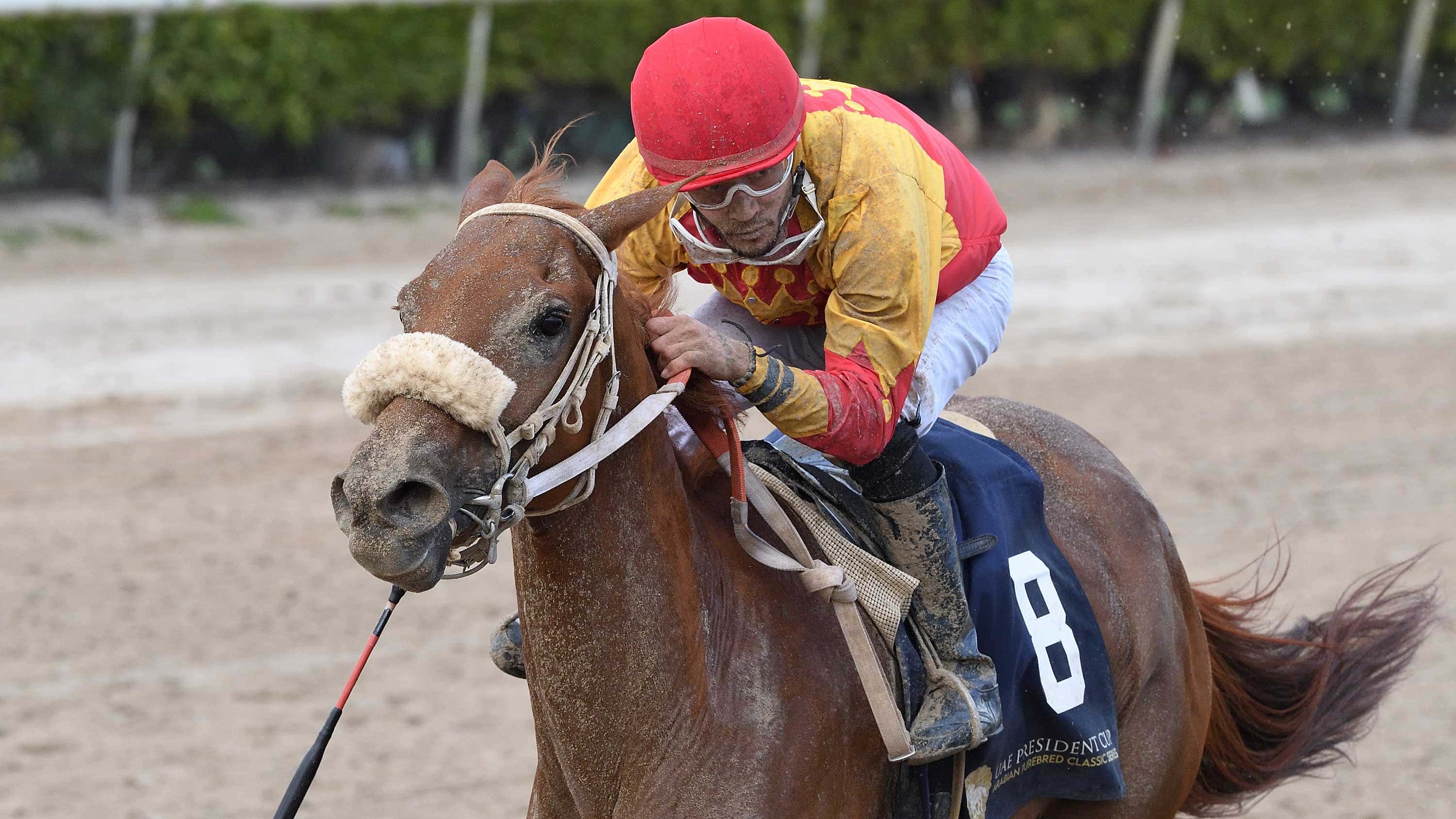 RB-Malexis-the-UAE-President-Cup-2