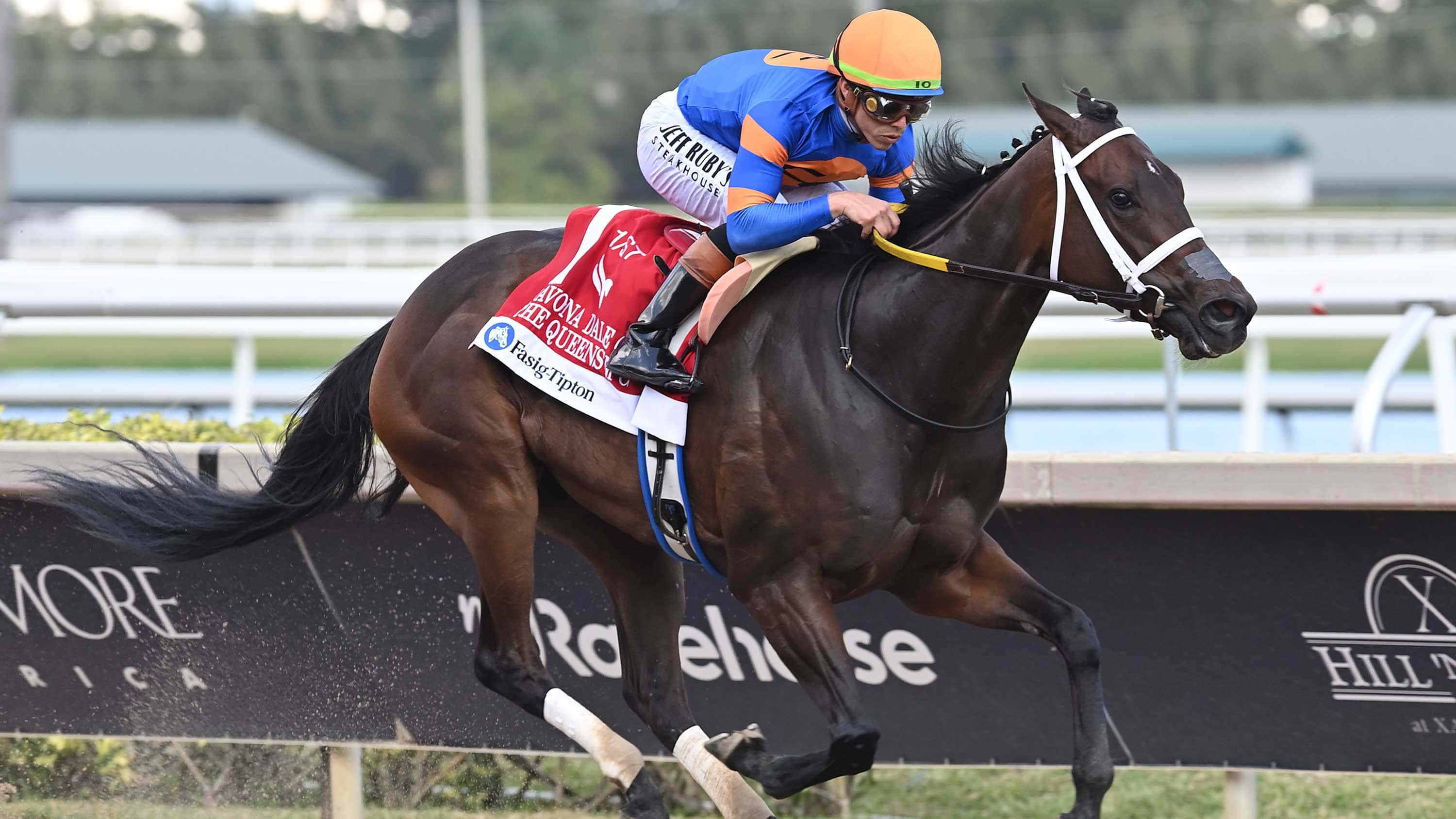 The Queens M G Captures $215,000 Fasig-Tipton Davona Dale