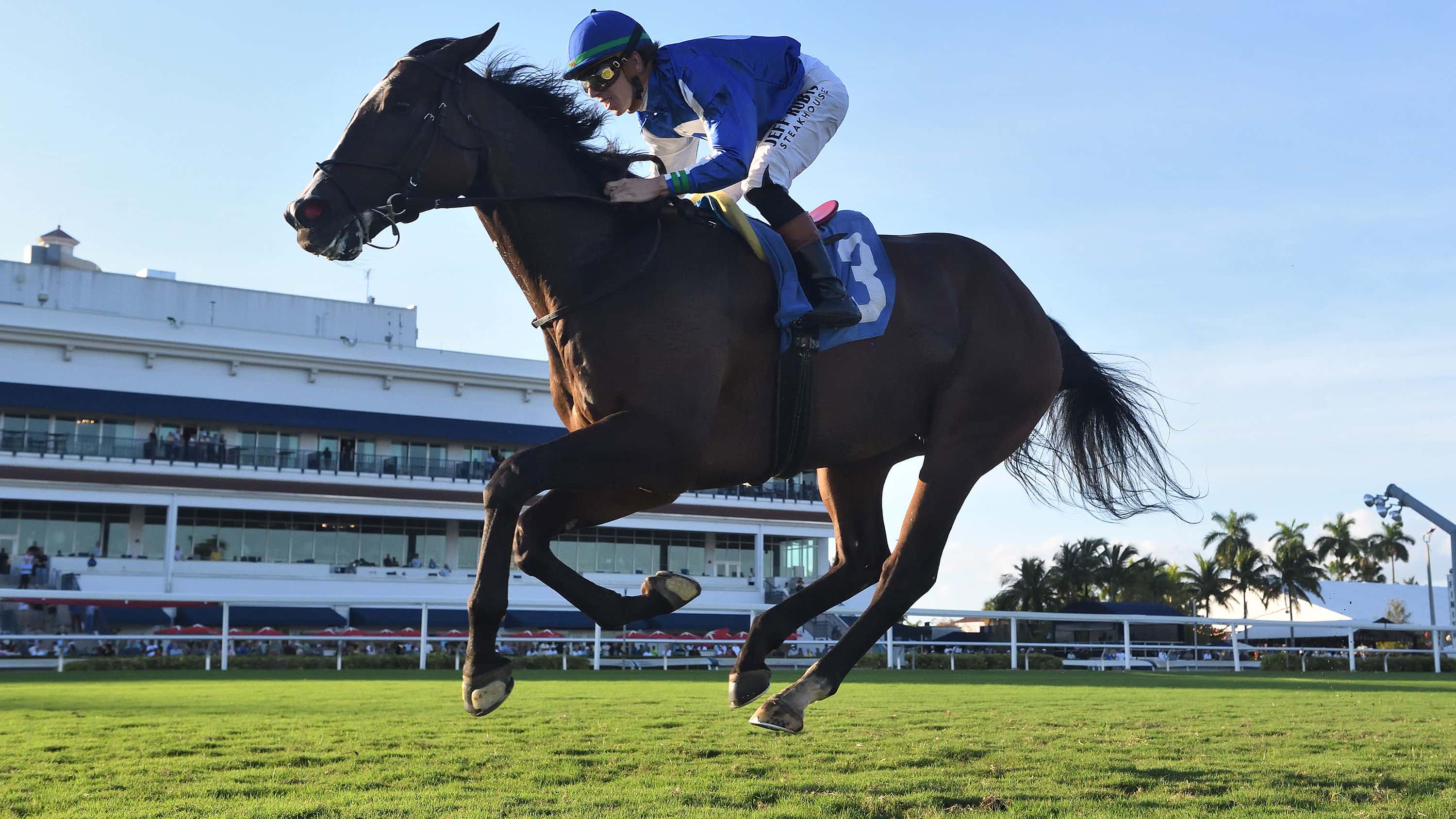 Gaffalione, Summer Cause Score Cool Jerkens Win