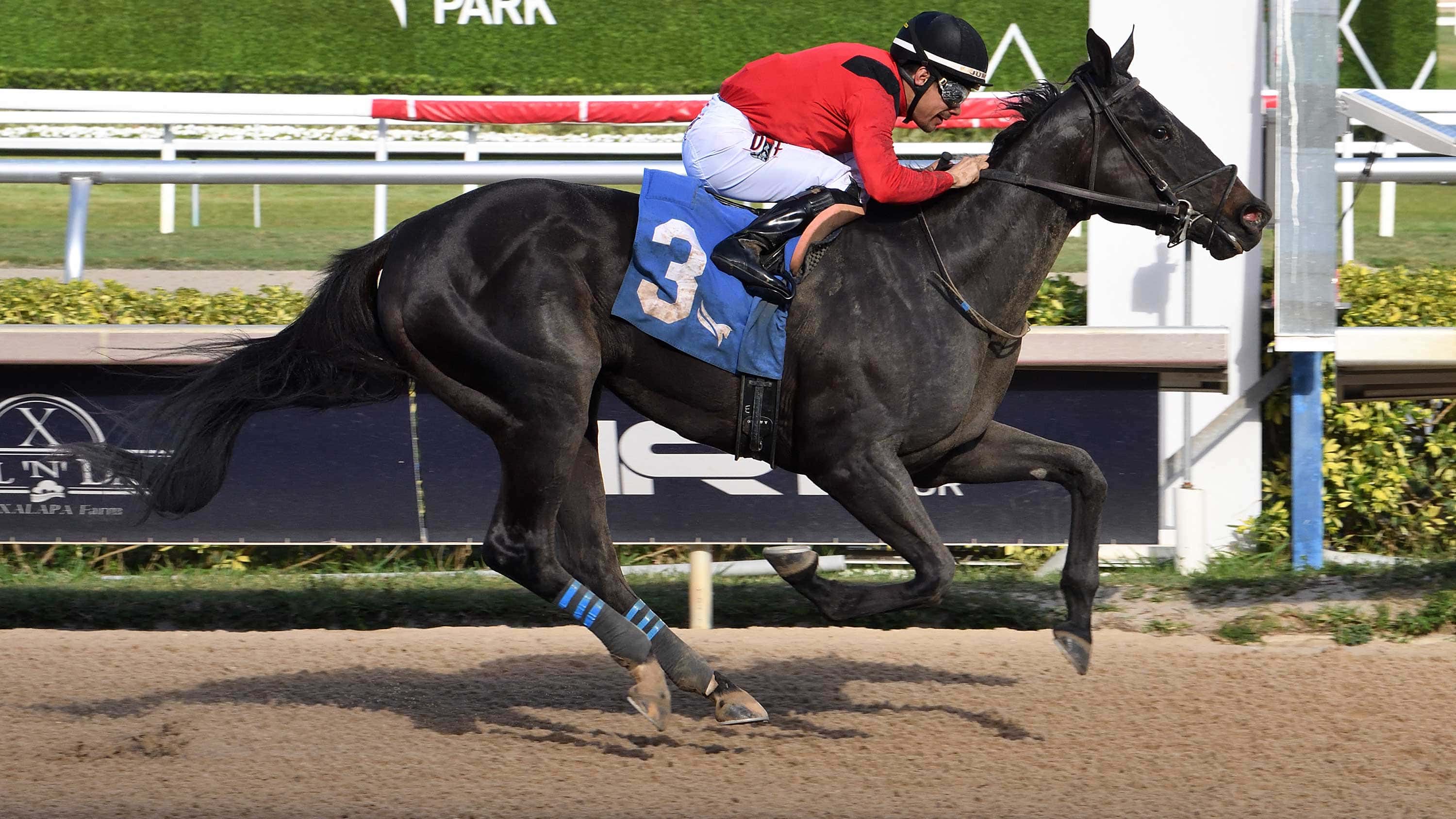 Unchained-Elaine-the-Any-Limit-