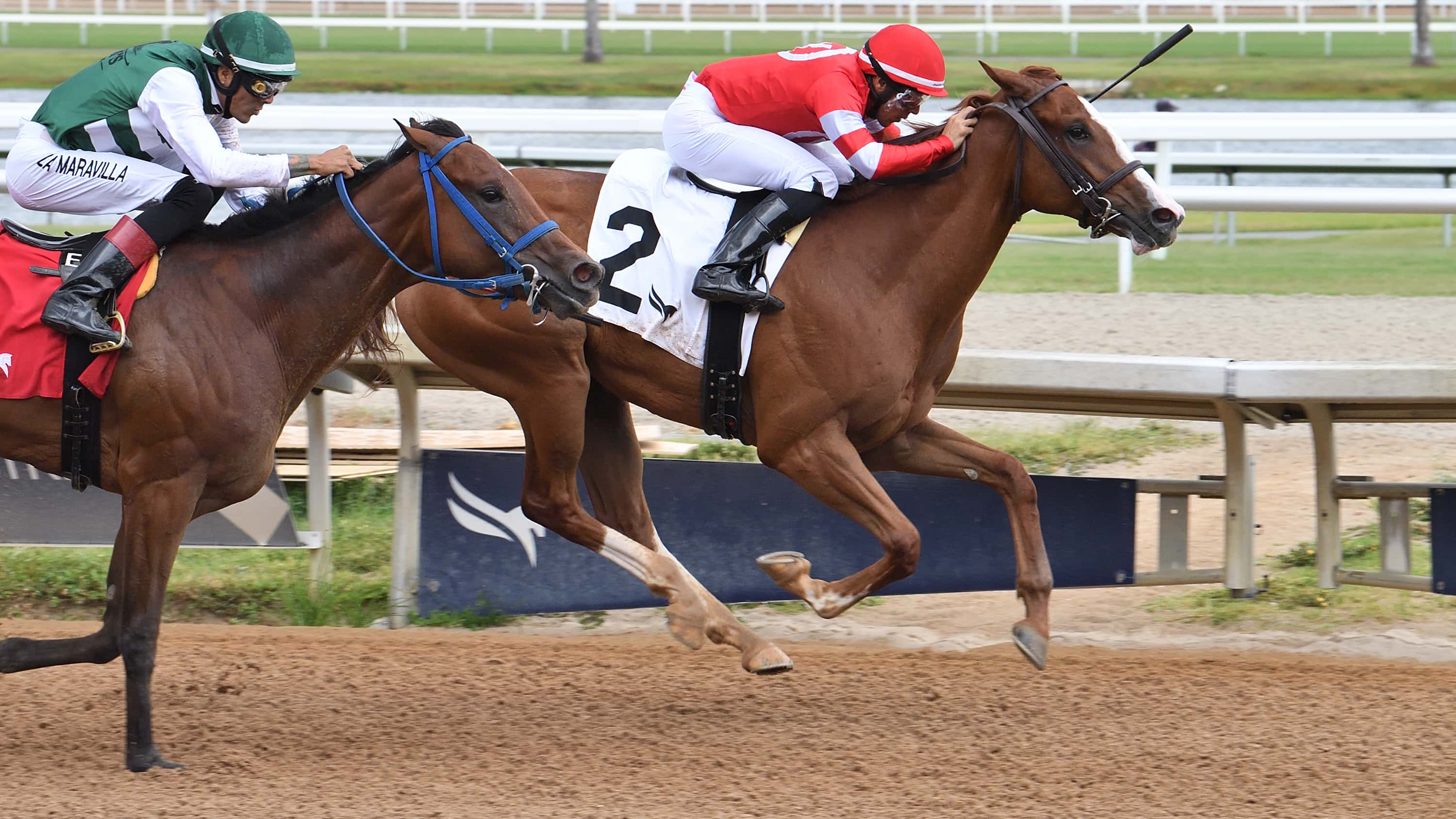 Fourth and Central, Wine Candy Meet in $75,000 Proud Man