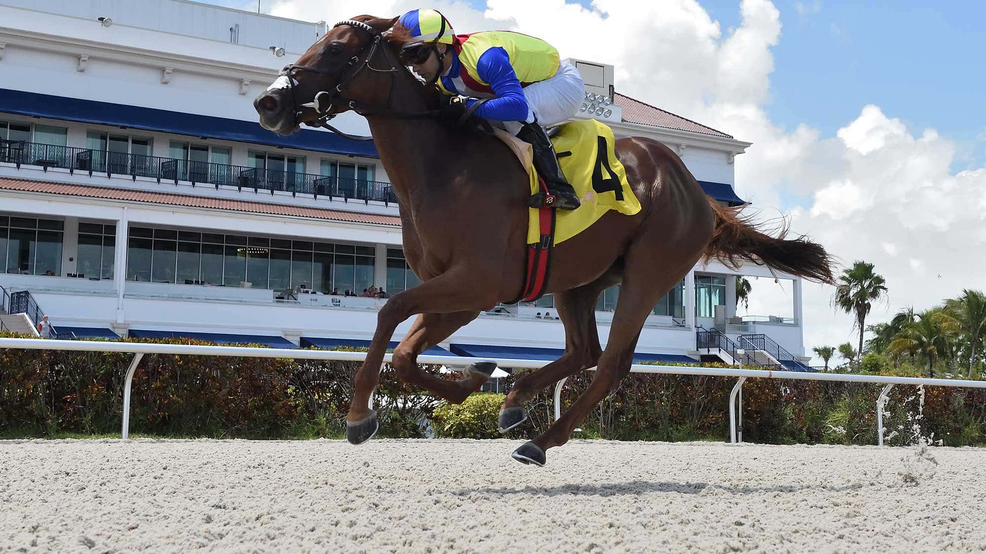 Showgirl-Lynne-B-the-Sharp-Susan