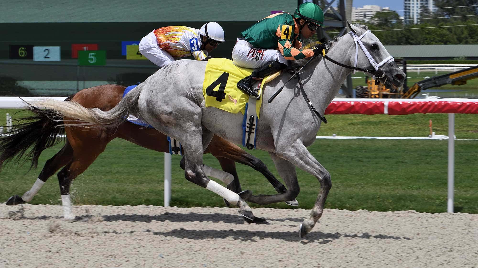 Lovely-Luvy-the-Ginger-Punch