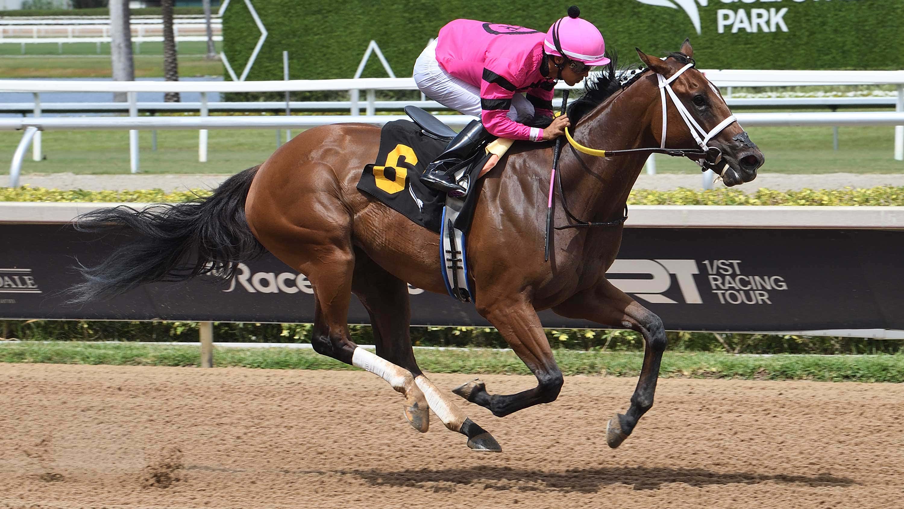 Luvumorgan-the-Game-Face