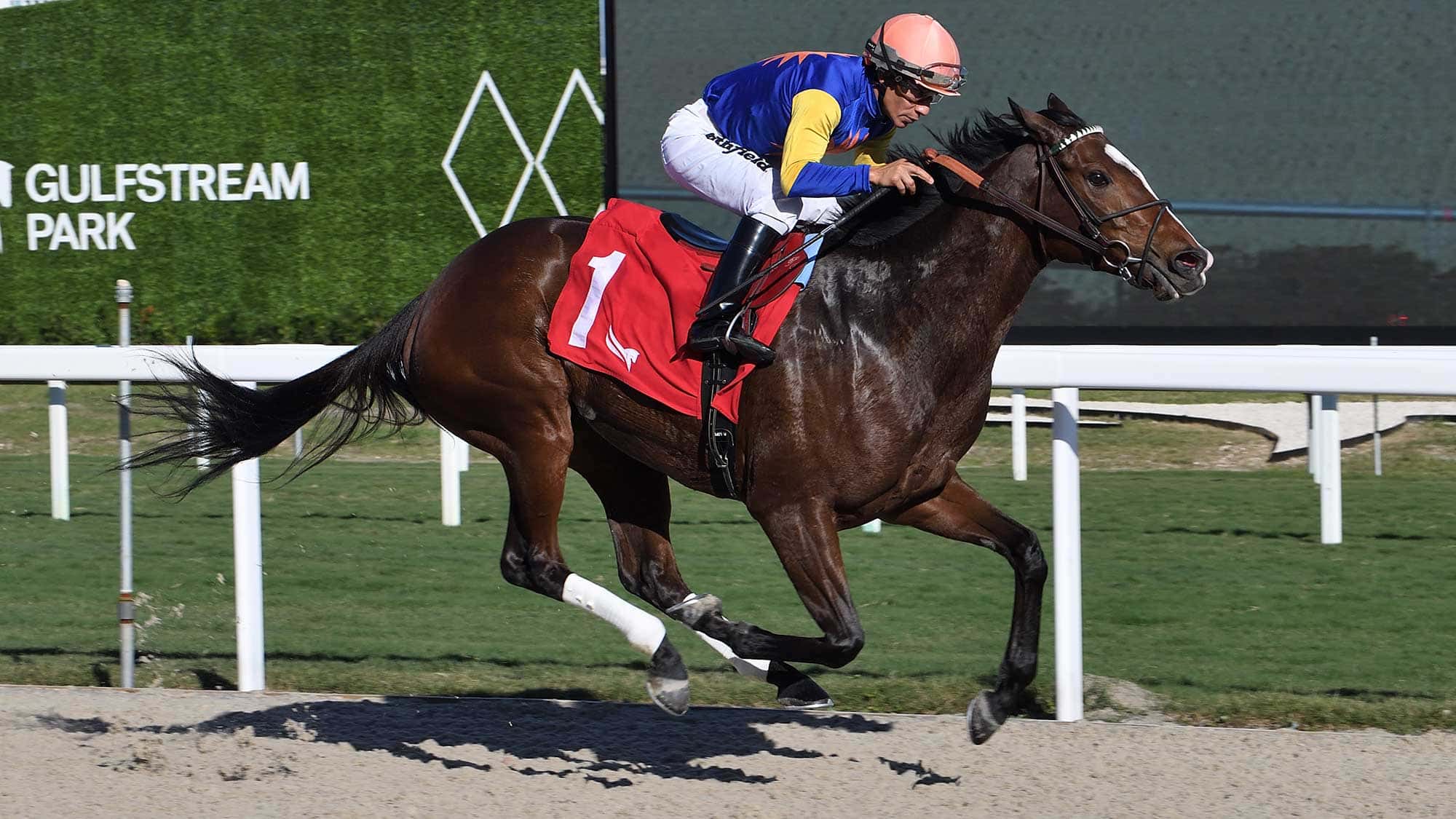 Sand-and-Sea-the-Key-West