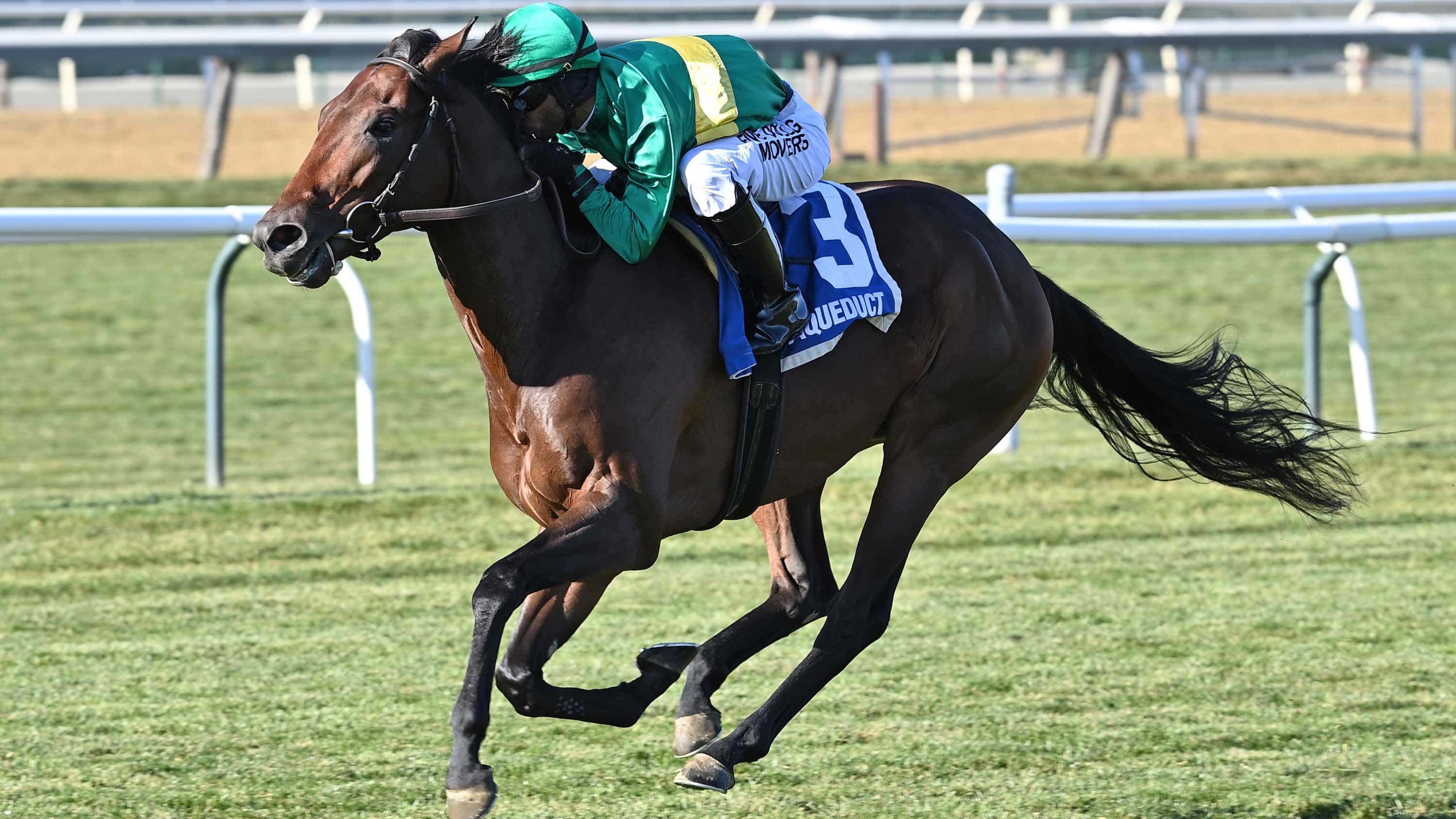 integration-the-hill-prince