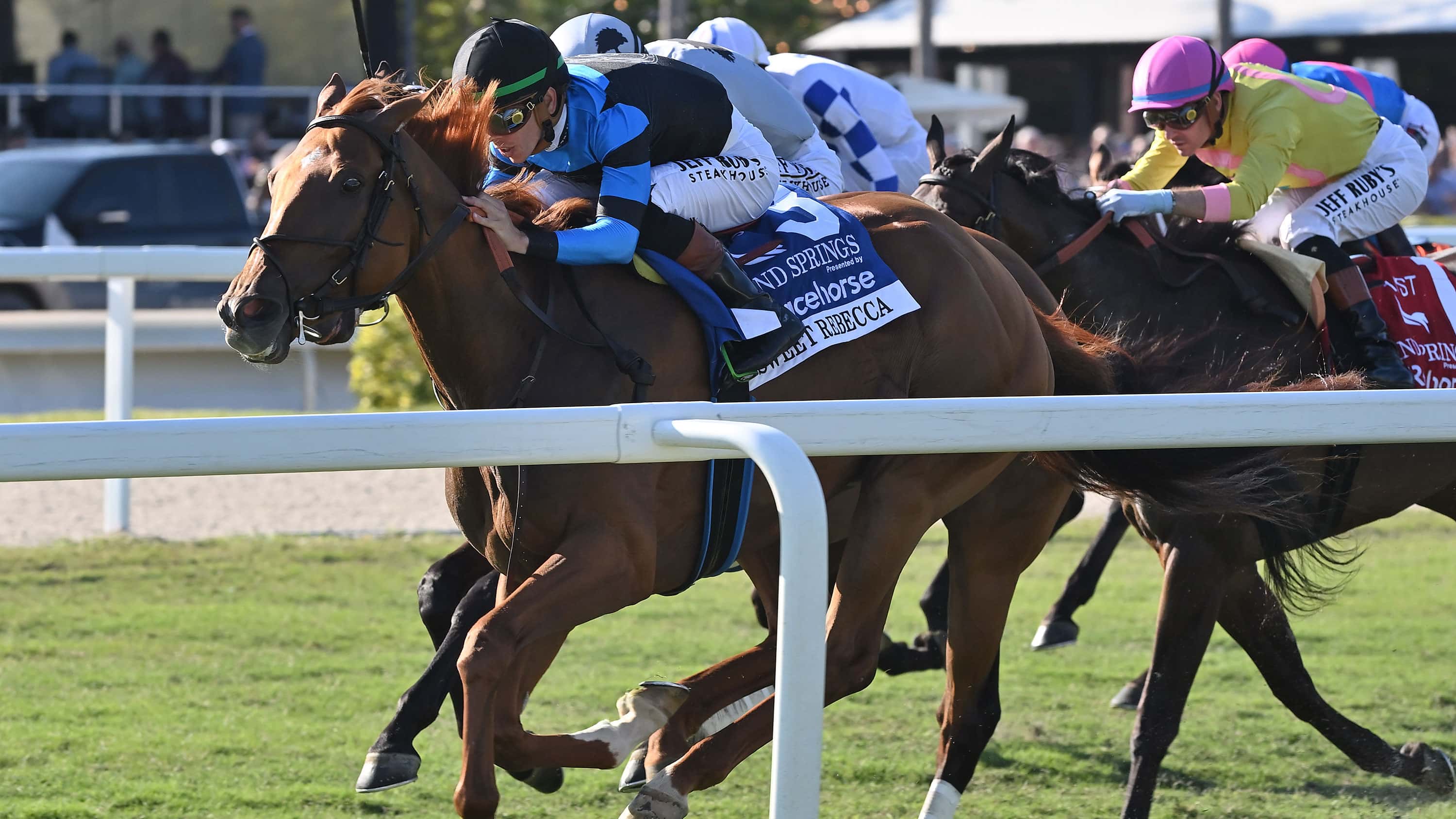 Sweet-Rebecca-the-Sand-Springs