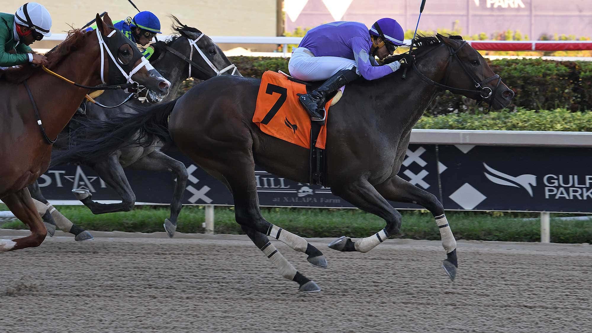 Khozeiress-The-Awesome-Banner-