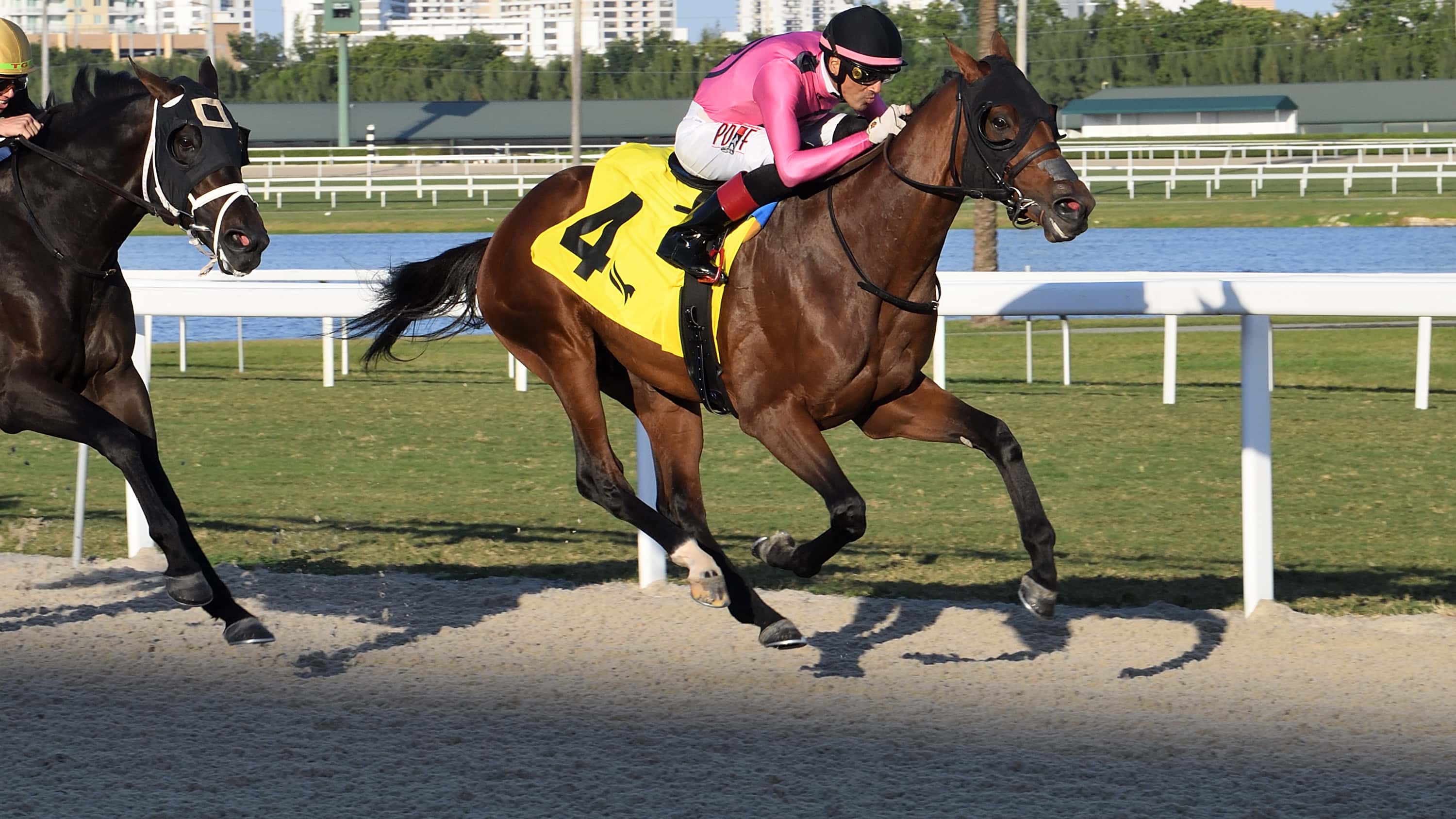 Mi-Bago-the-Dania-Beach-2