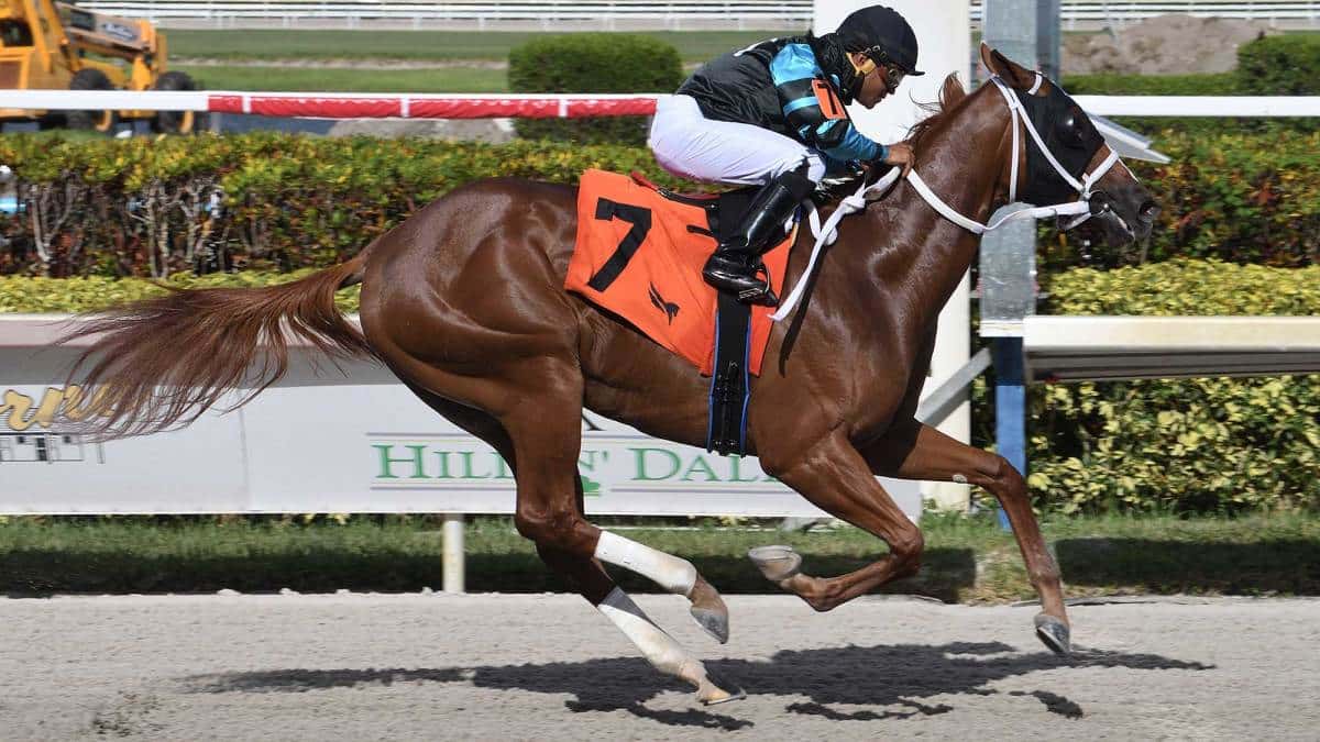 Awesome-Strong-the-FSS-Dr-Fager-0