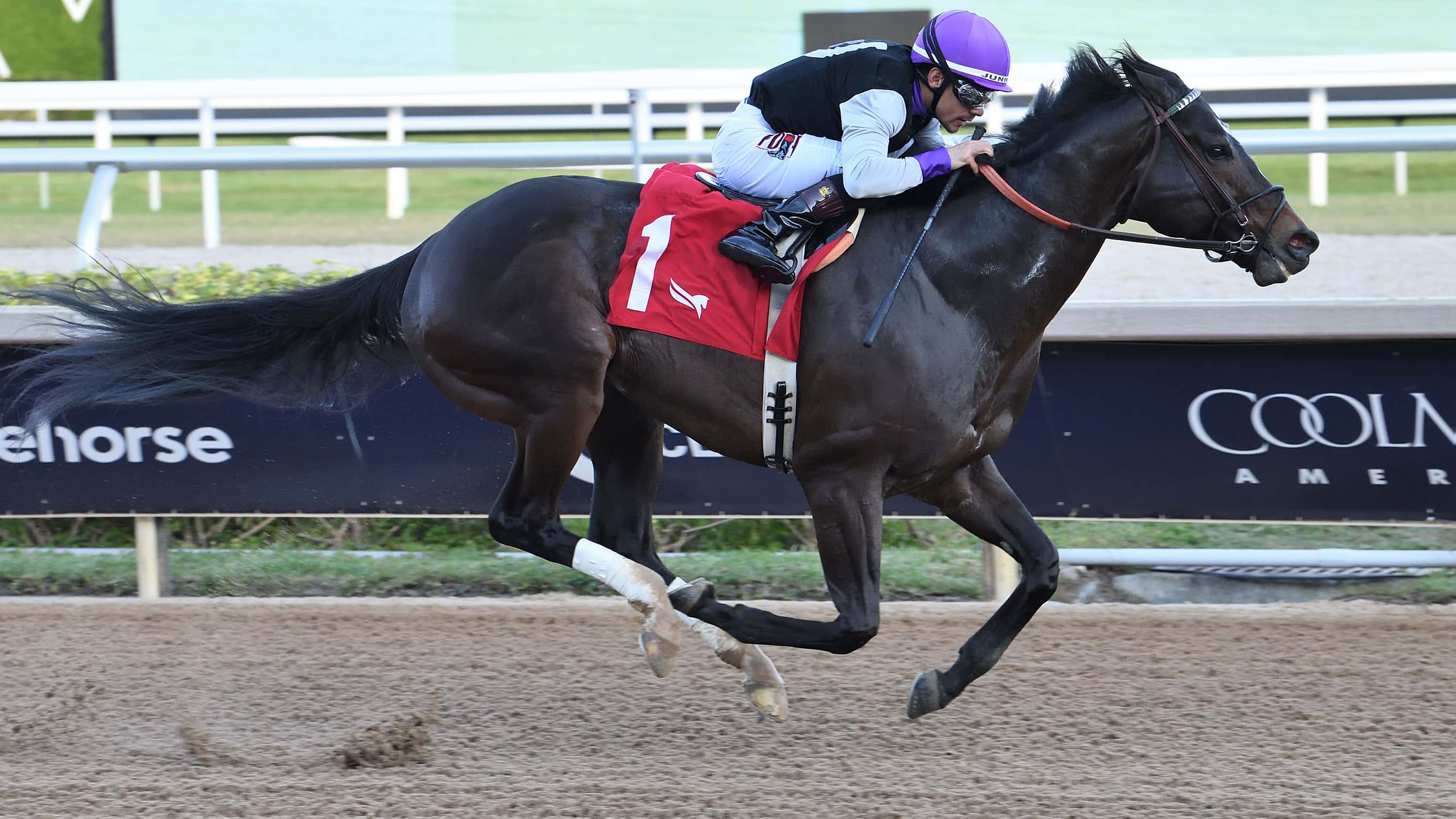 Damons-Mound-the-Sunshine-Sprint