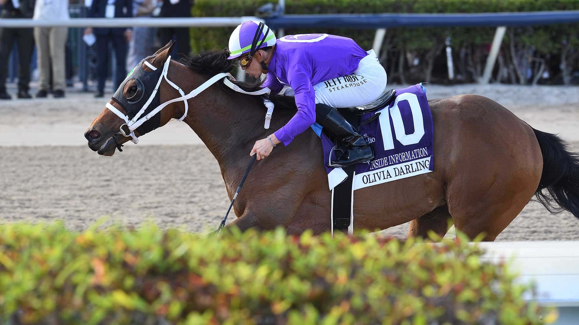 Olivia-Darling-the-Inside-Information