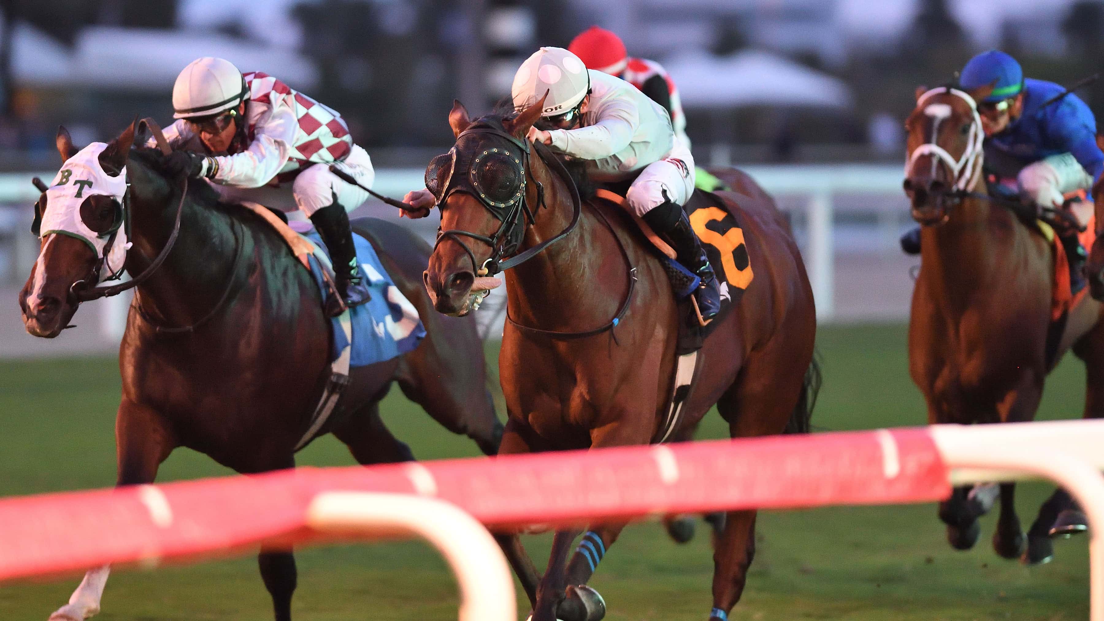 Layabout Captures 50th Running of Tropical Park Derby by a Nose