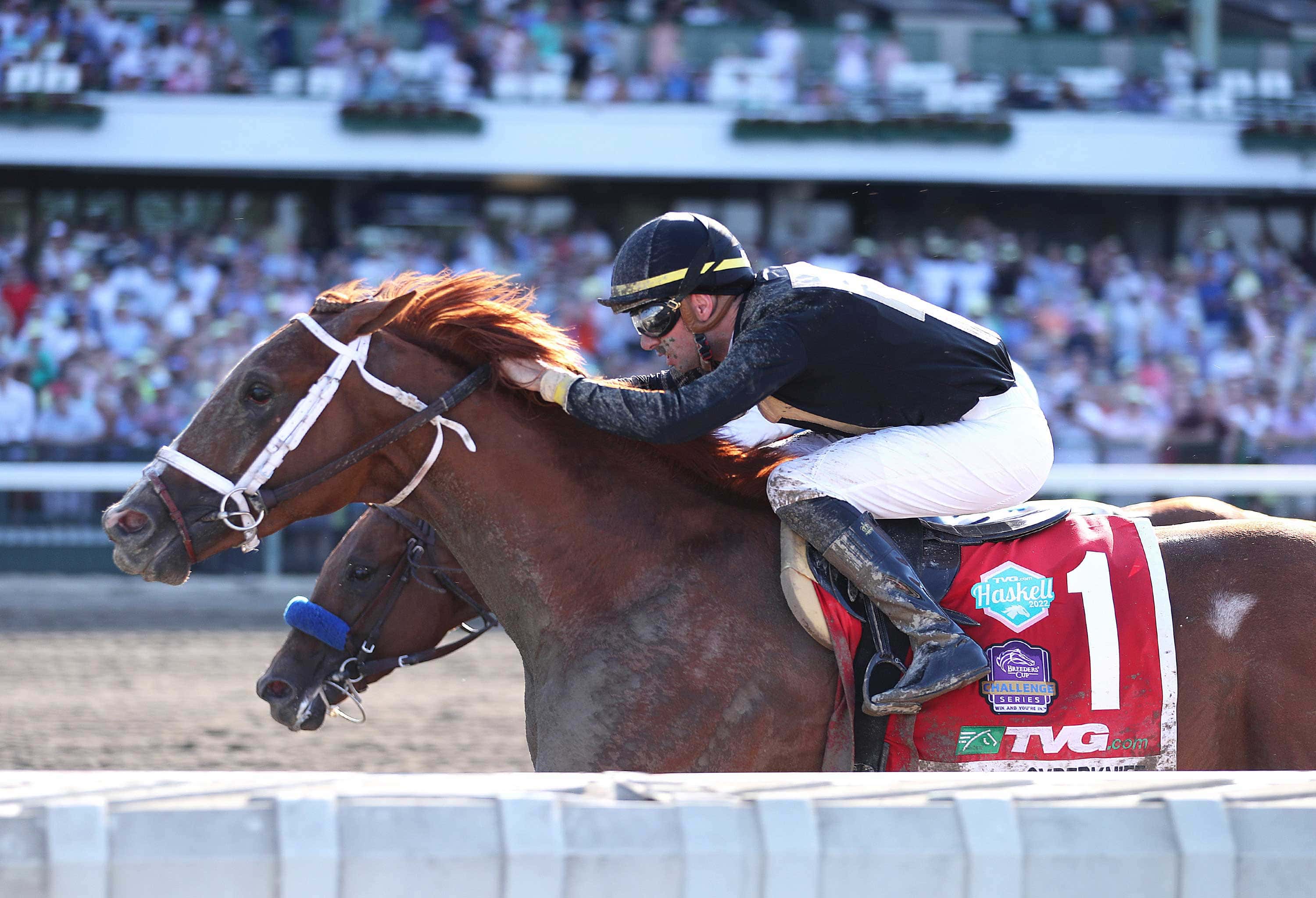 Cyber-Knife Haskell 05