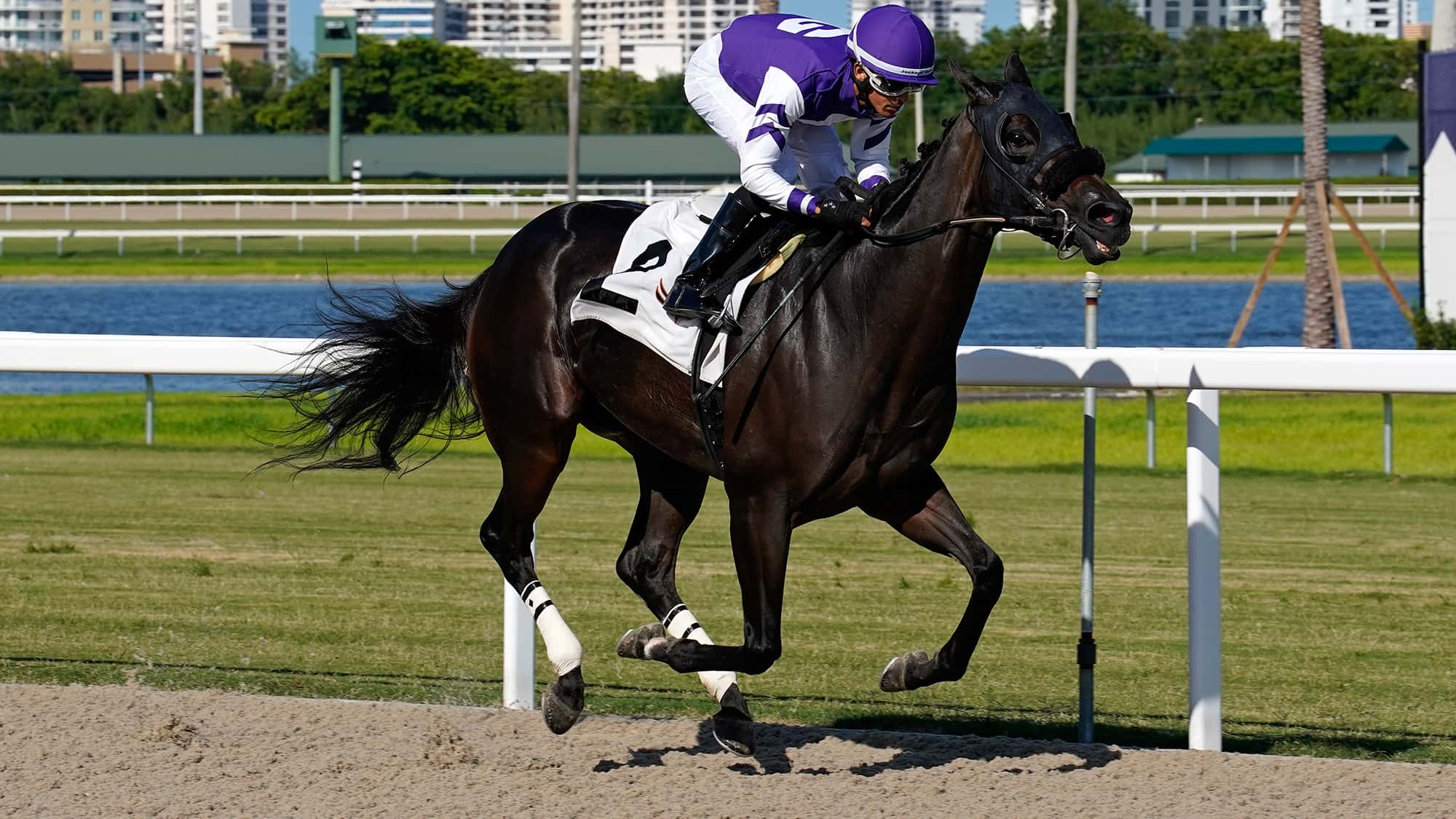 Time-Passage-the-Miss-Gracie