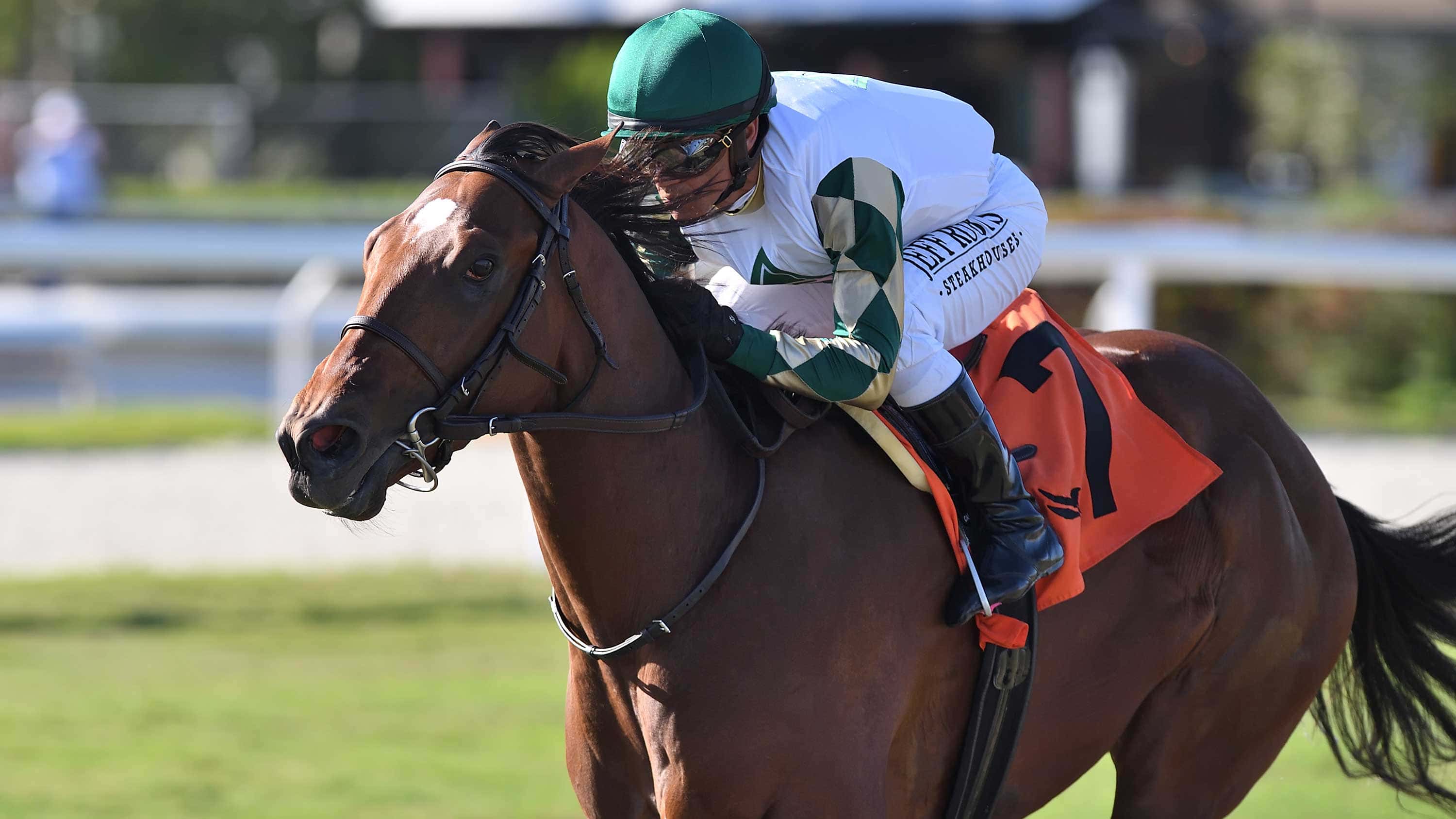 Big-Invasion-the-Texas-Glitter-1