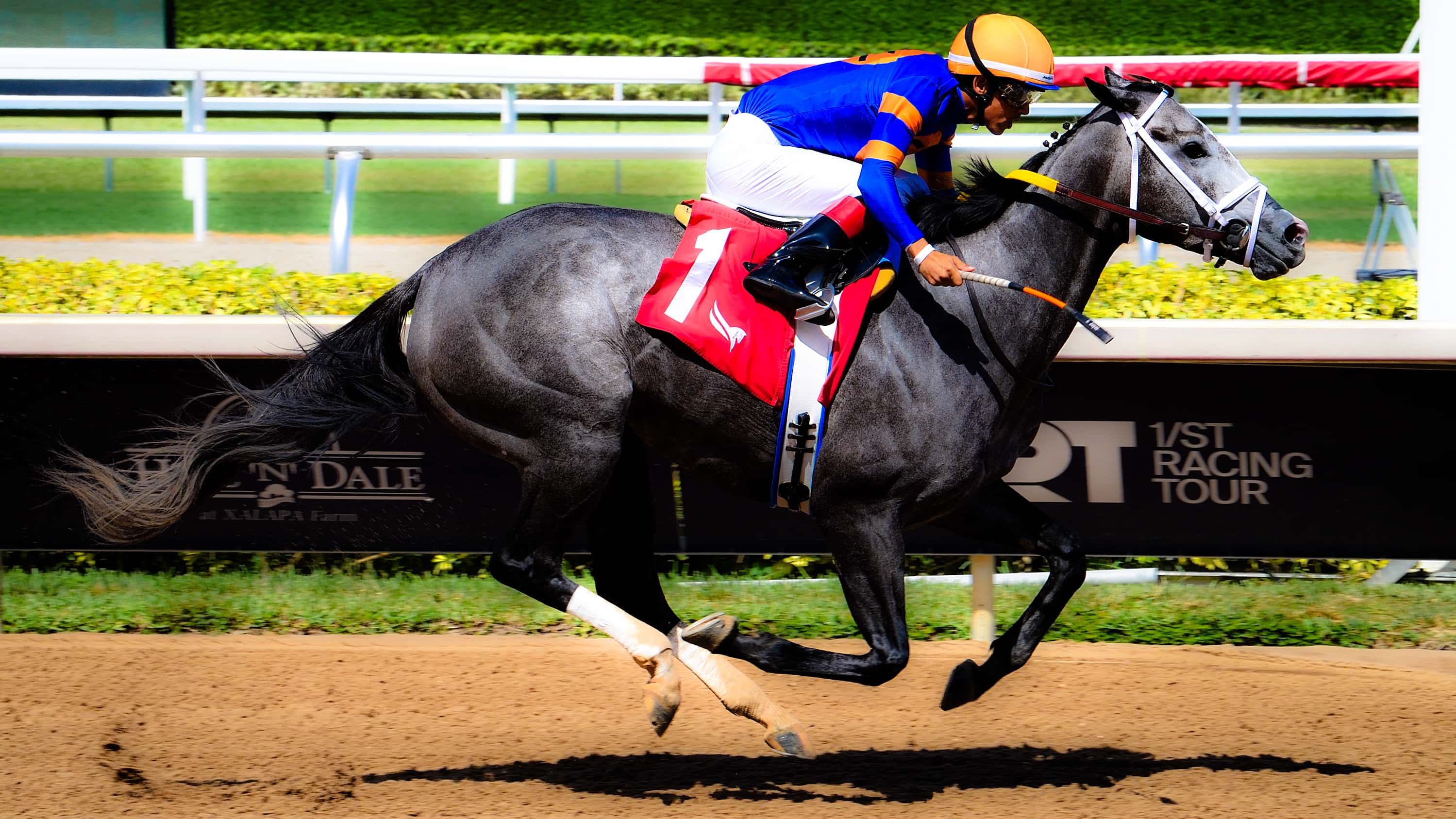 Haulin-Ice-The-Musical-Romance