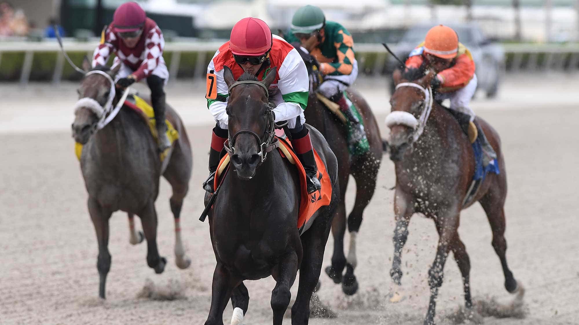 Last-Leaf-the-Azalea-2