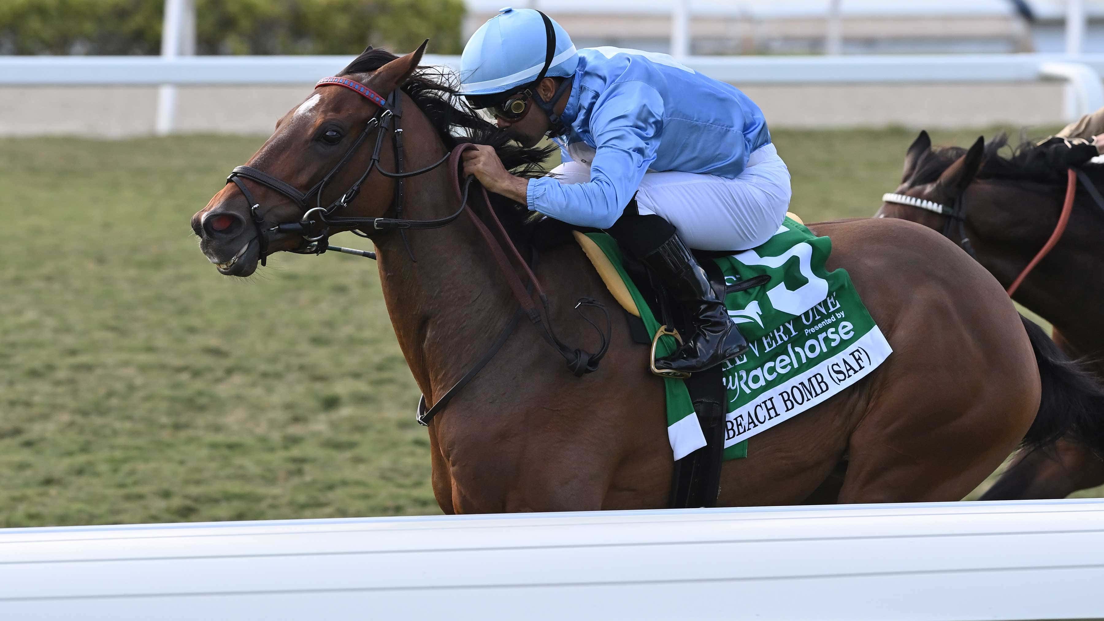 Beach-Bomb-the-Very-One-1