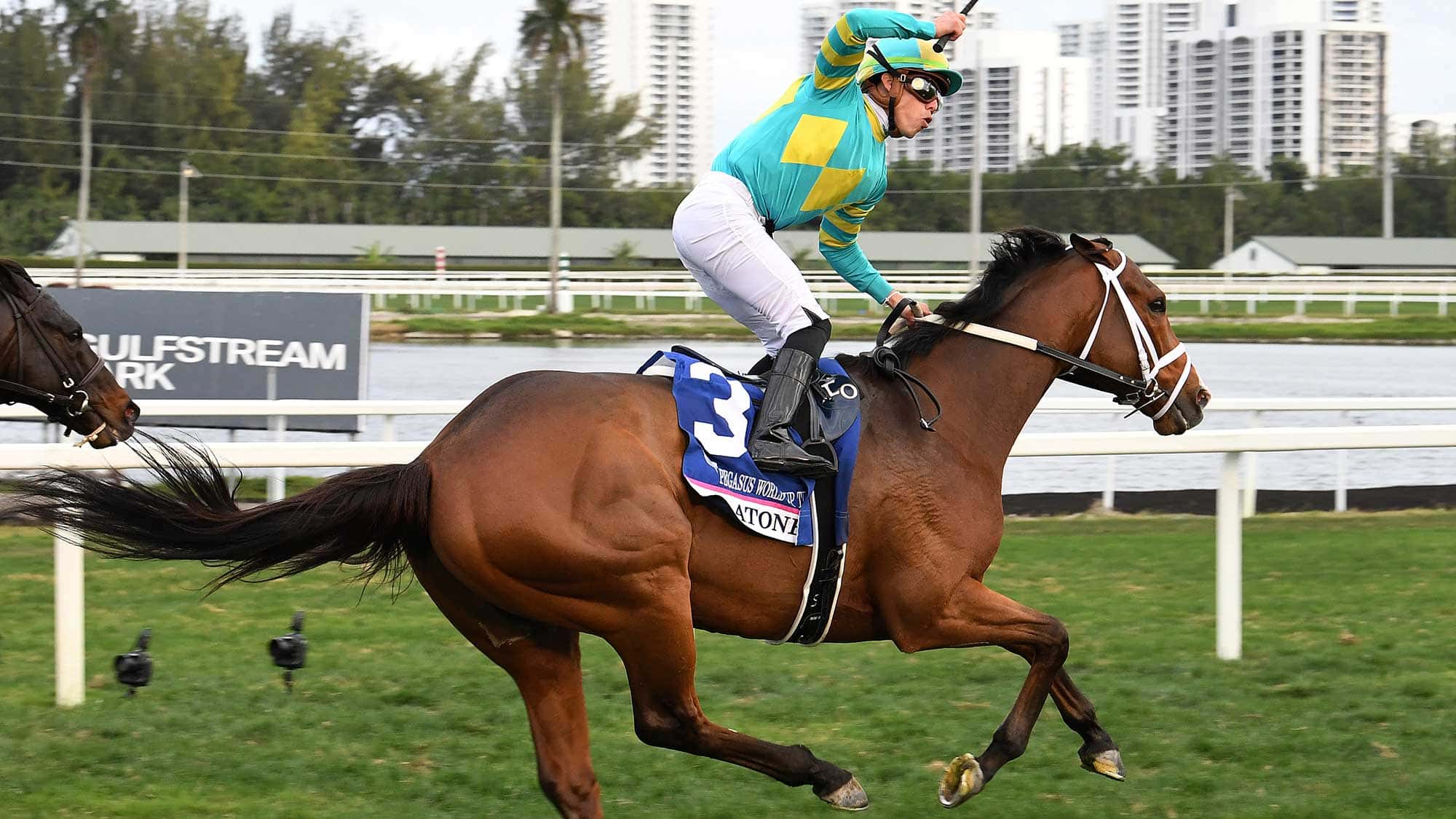 Atone-the-Pegasus-Turf3