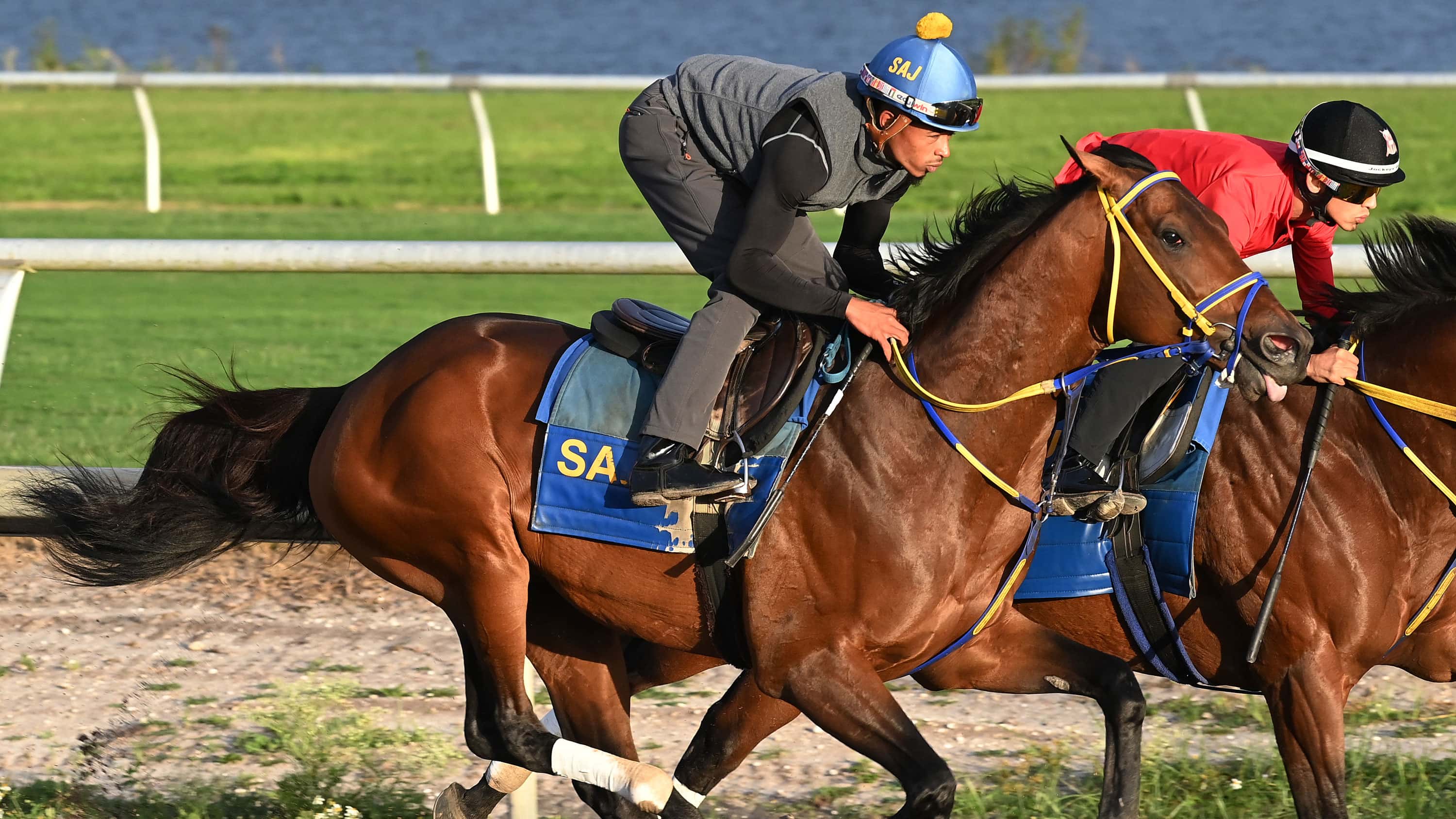 Skippylongstocking-1-20b