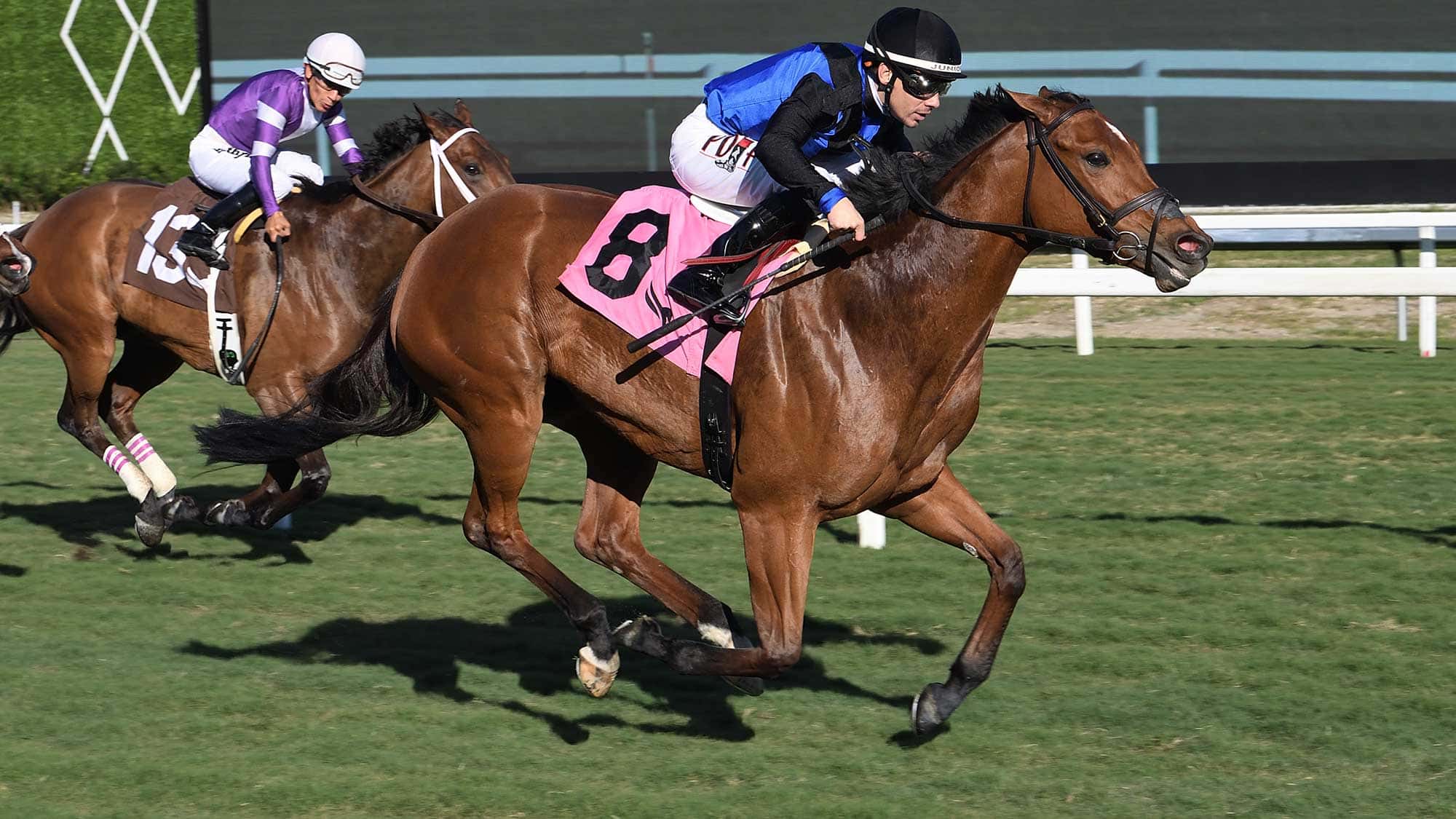 Stone-Silent-the-Abundantia