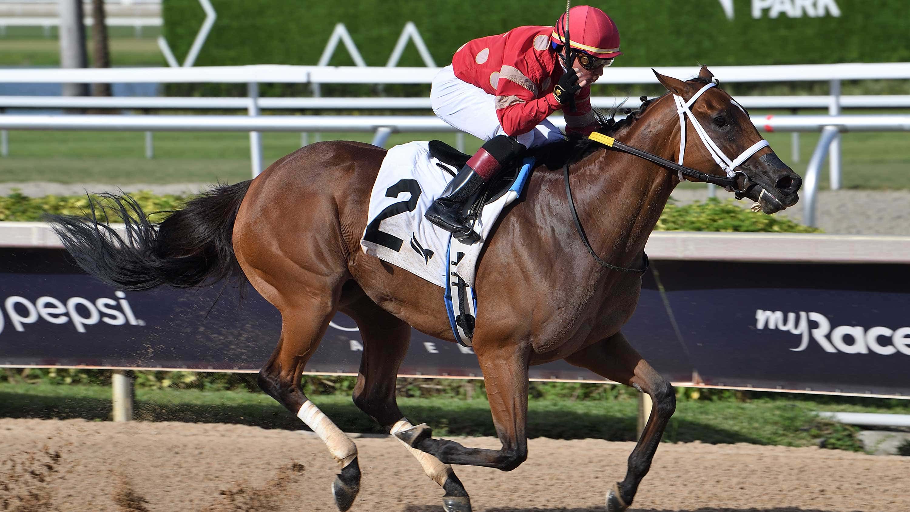 Bluefield-the-Musical-Romance